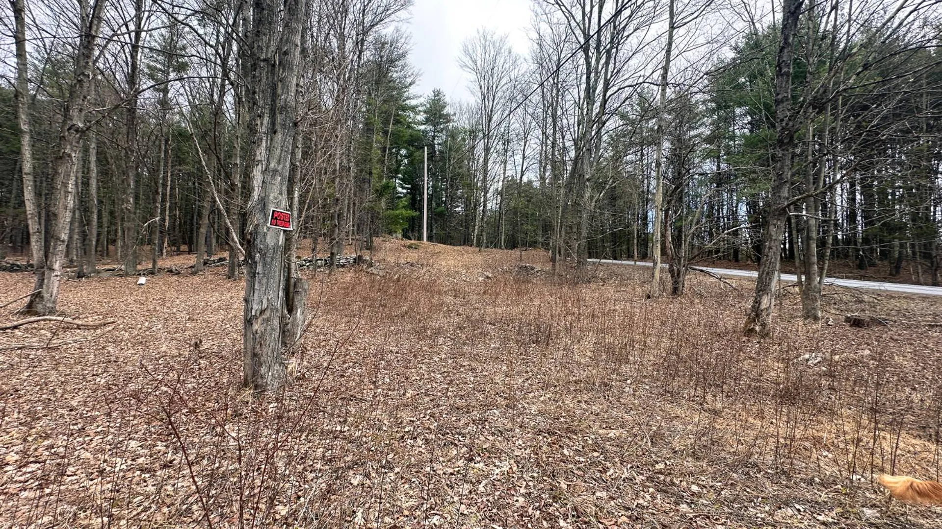 Property at 00WP#2 Drake Hill Rd, Freehold, NY 12431 15