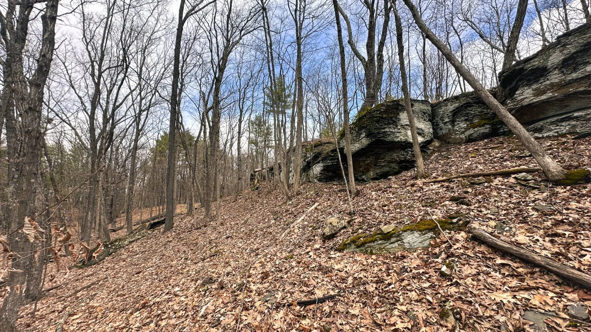 Property at 00WP#2 Drake Hill Rd, Freehold, NY 12431 16