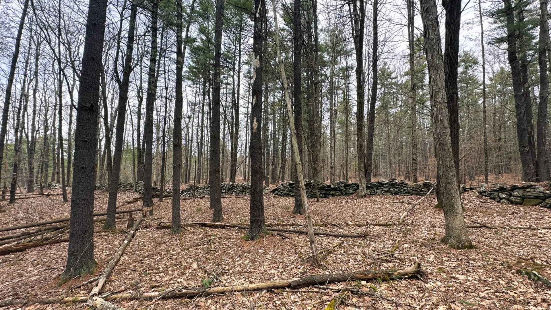 Property at 00WP#2 Drake Hill Rd, Freehold, NY 12431 17