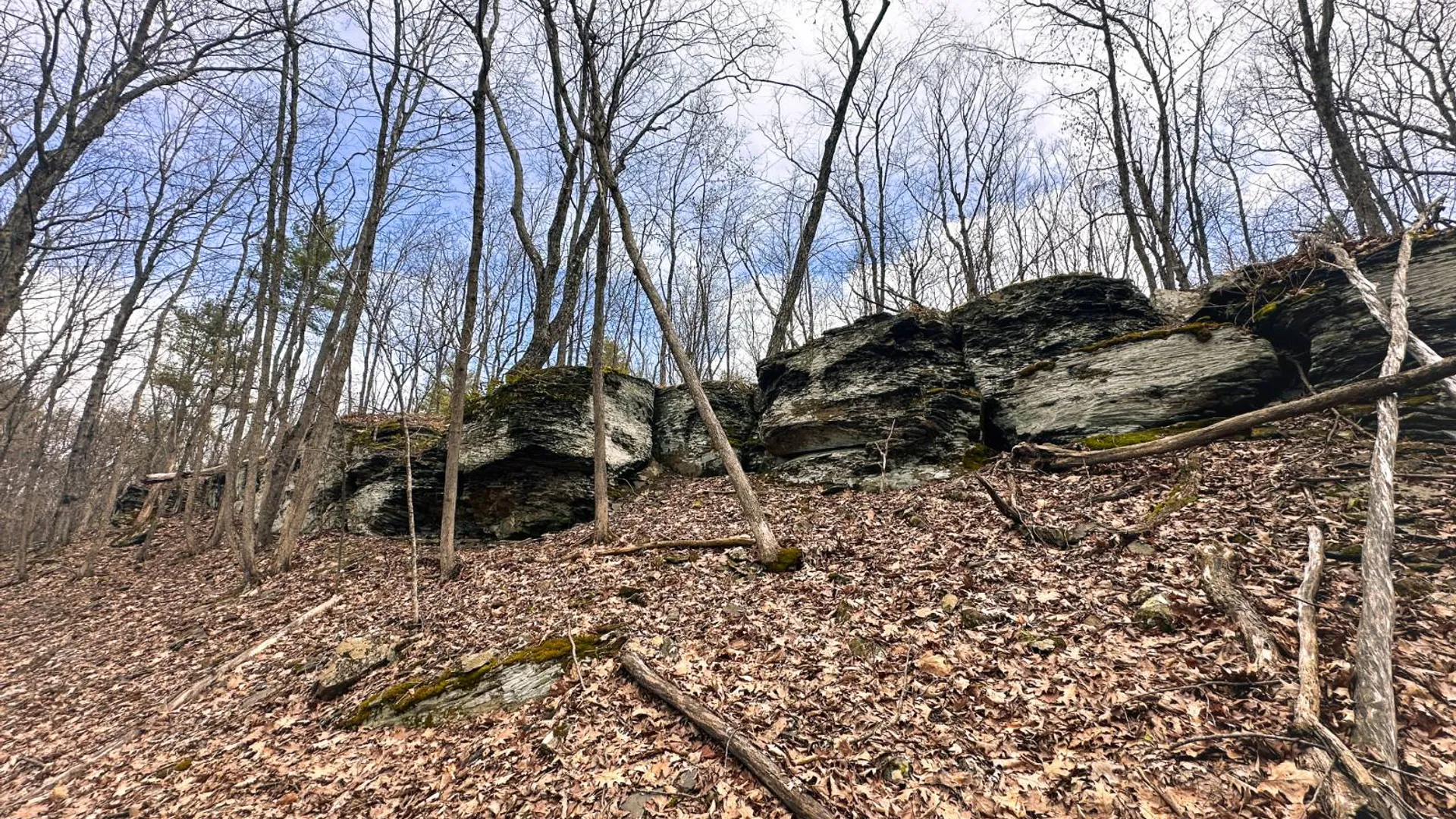 Property at 00WP#2 Drake Hill Rd, Freehold, NY 12431 24