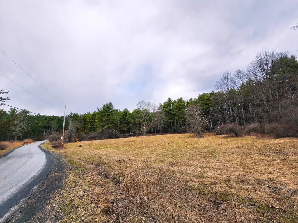 Property at 00WP3 Drake Hill Rd Lot #3, Freehold, NY 12431
