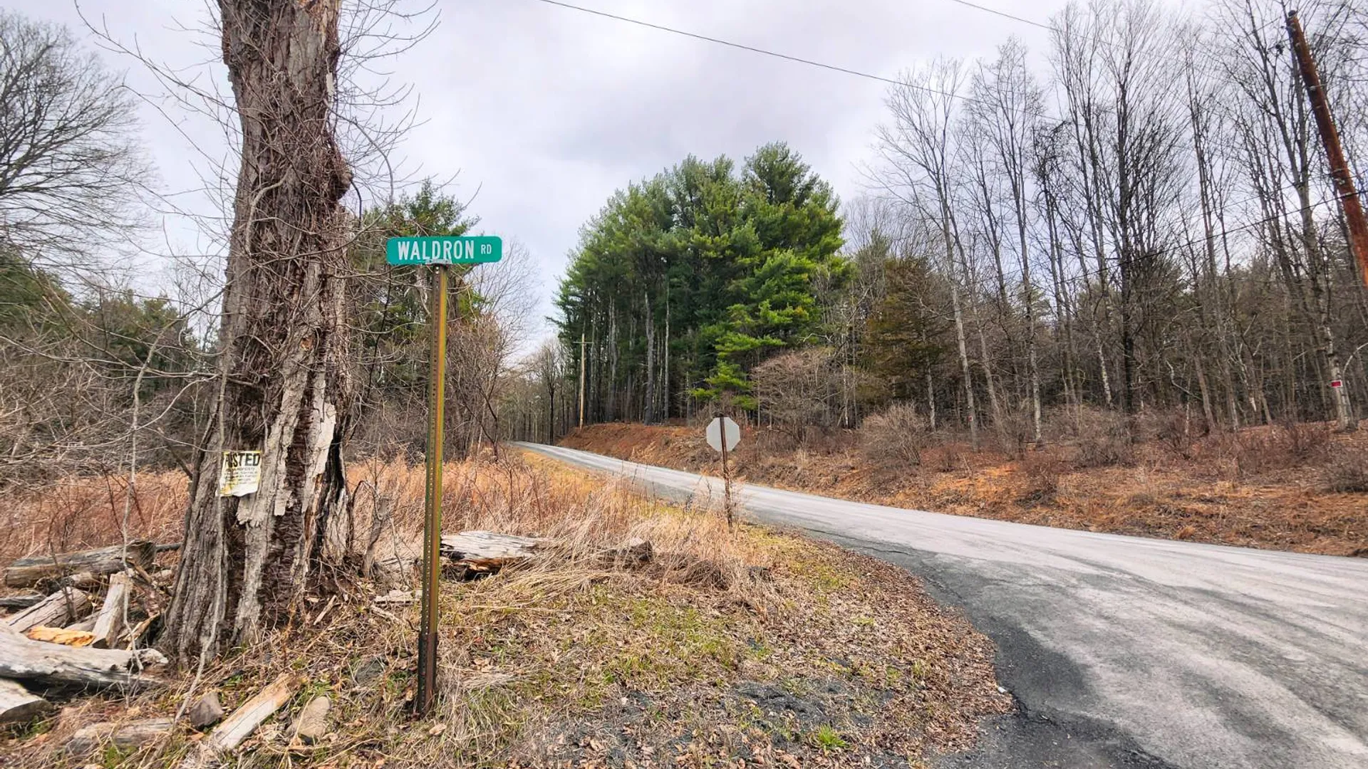 Property at 00WP3 Drake Hill Rd Lot #3, Freehold, NY 12431 3