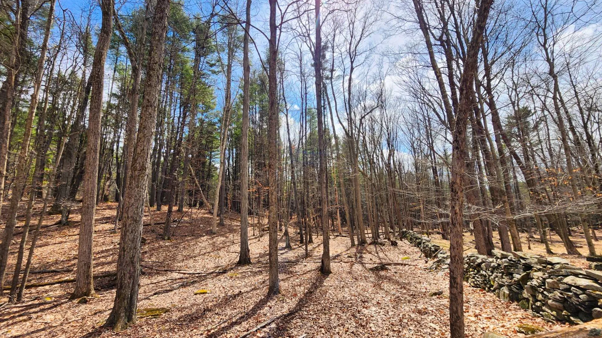 Property at 00WP3 Drake Hill Rd Lot #3, Freehold, NY 12431 5