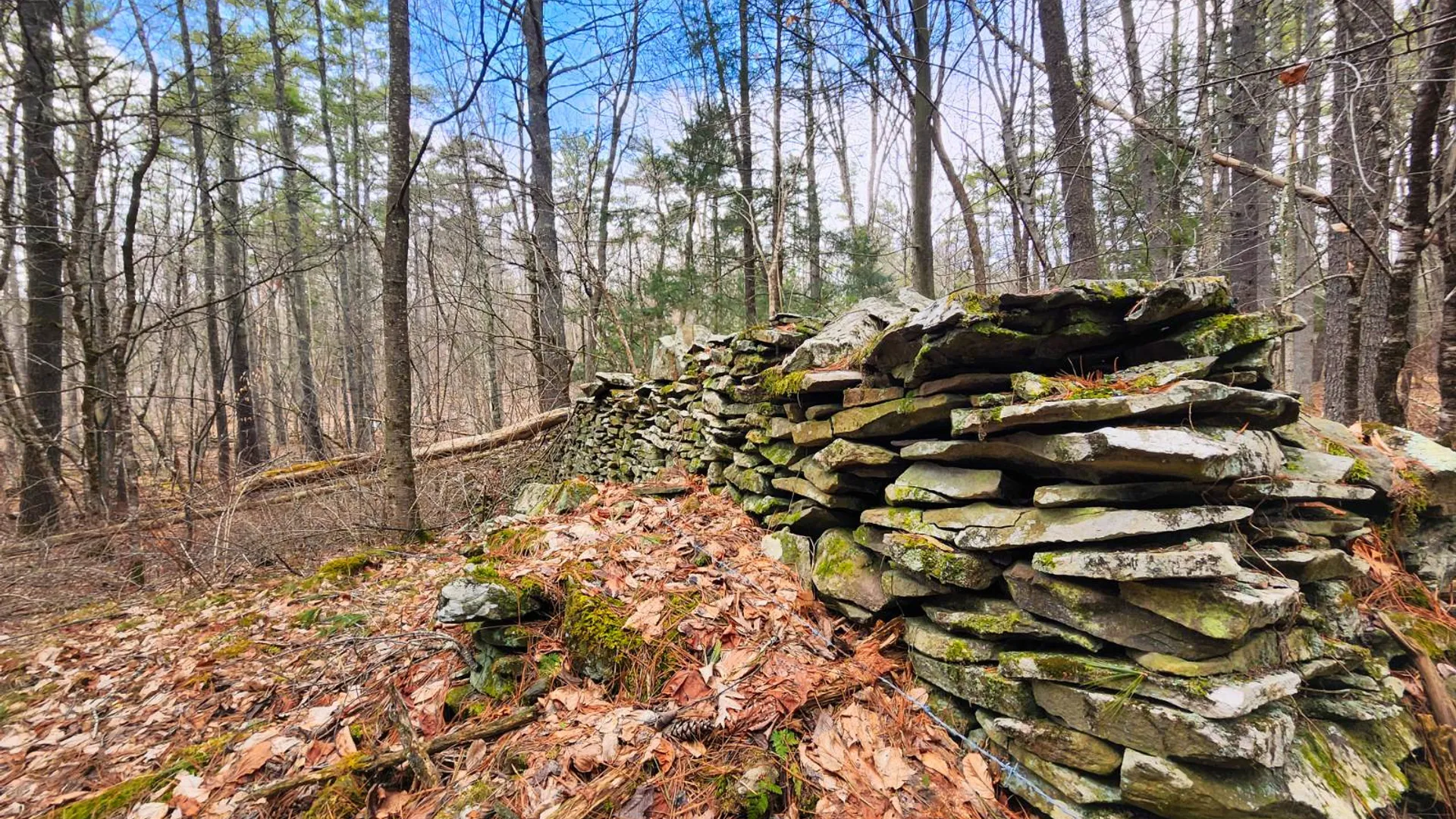 Property at 00WP3 Drake Hill Rd Lot #3, Freehold, NY 12431 6