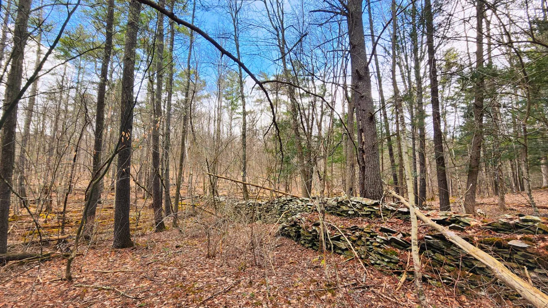 Property at 00WP3 Drake Hill Rd Lot #3, Freehold, NY 12431 8