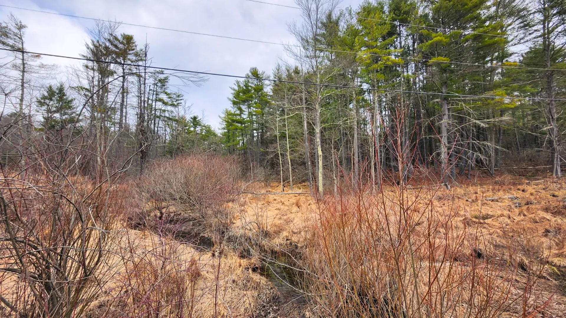 Property at 00WP3 Drake Hill Rd Lot #3, Freehold, NY 12431 11