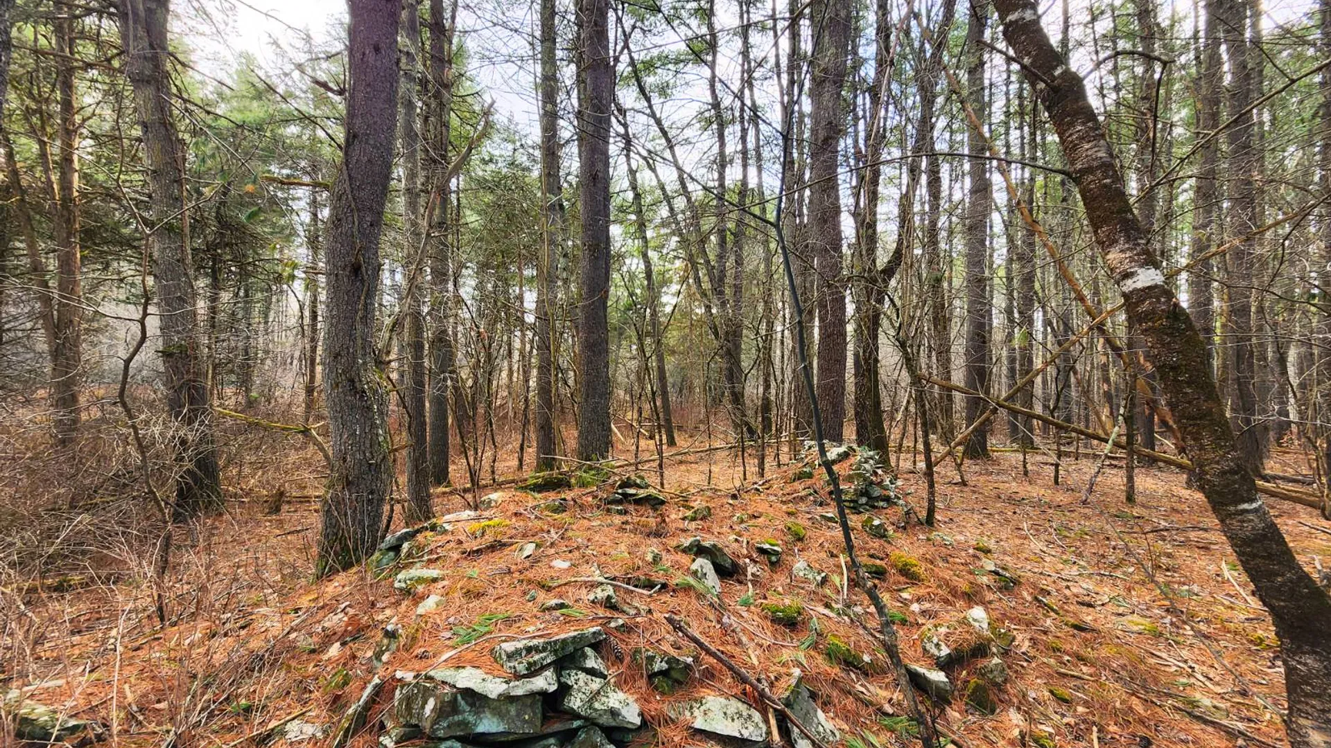 Property at 00WP3 Drake Hill Rd Lot #3, Freehold, NY 12431 16