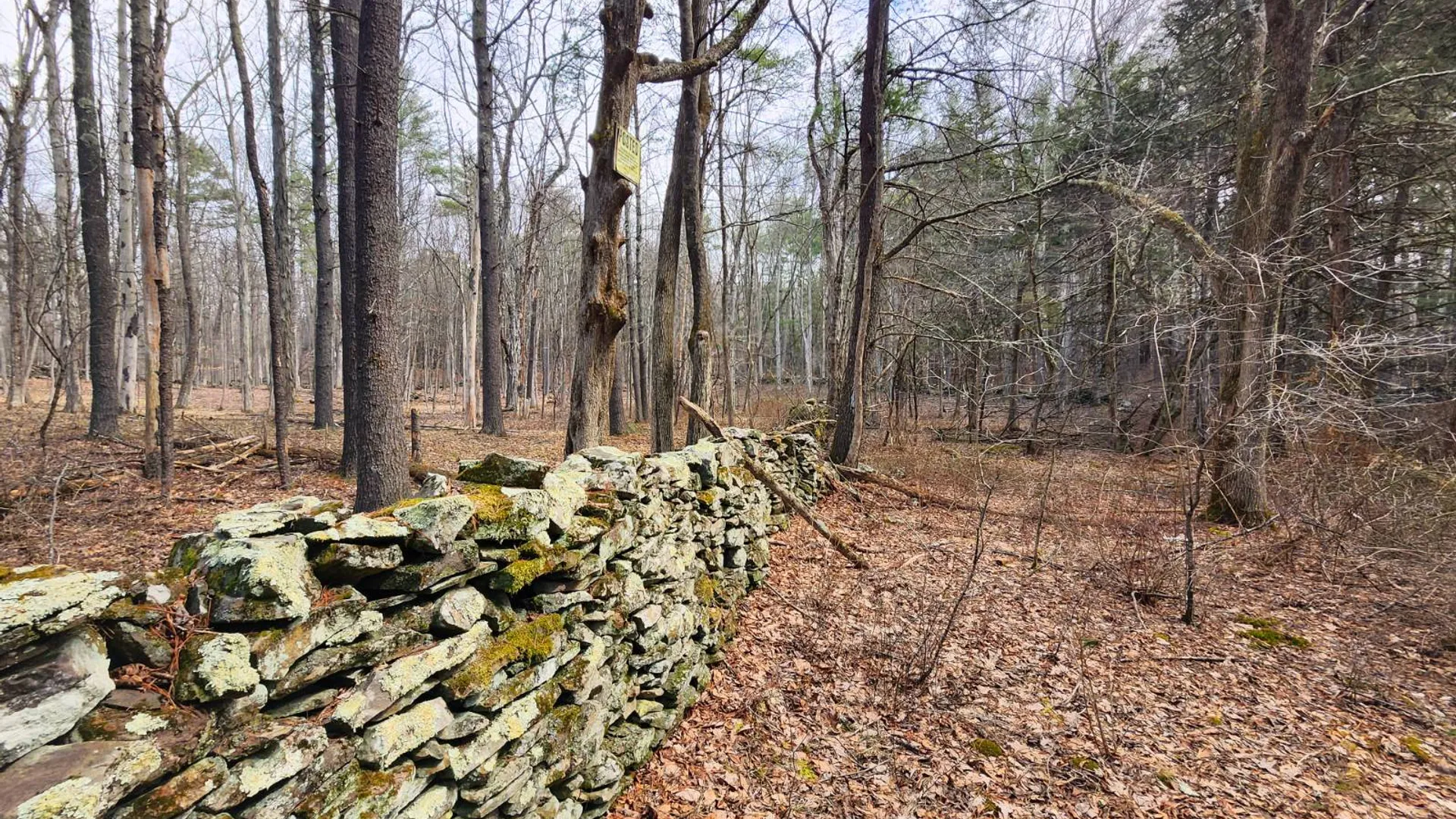 Property at 00WP3 Drake Hill Rd Lot #3, Freehold, NY 12431 17