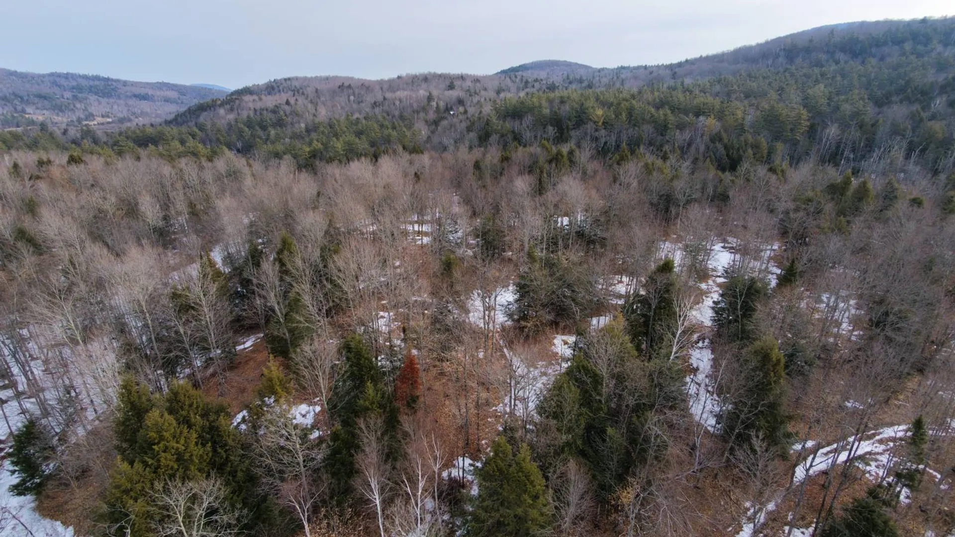 Property at 0 Crane Mountain Road, Johnsburg, NY 12843 3