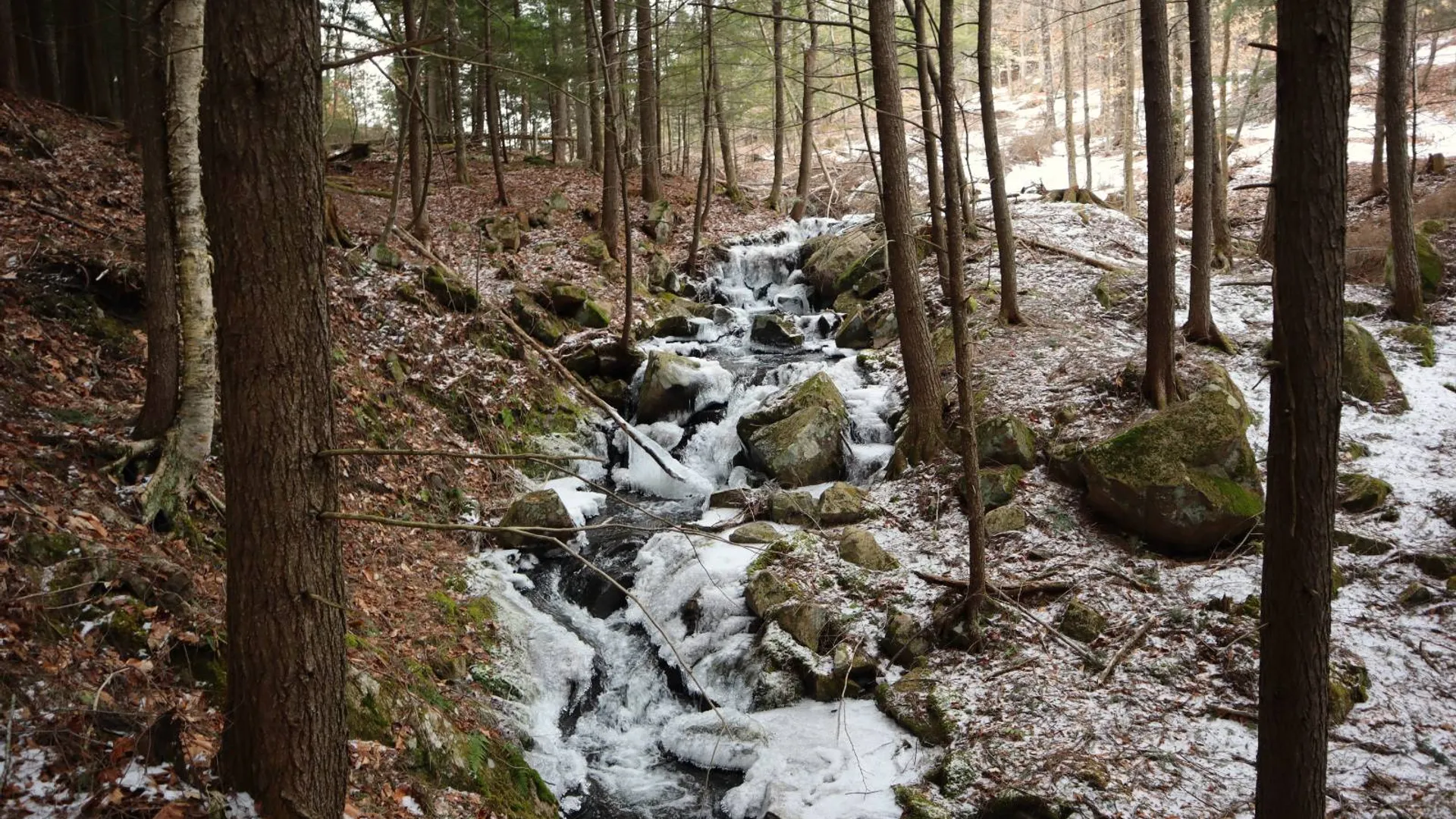 Property at 0 Crane Mountain Road, Johnsburg, NY 12843 5