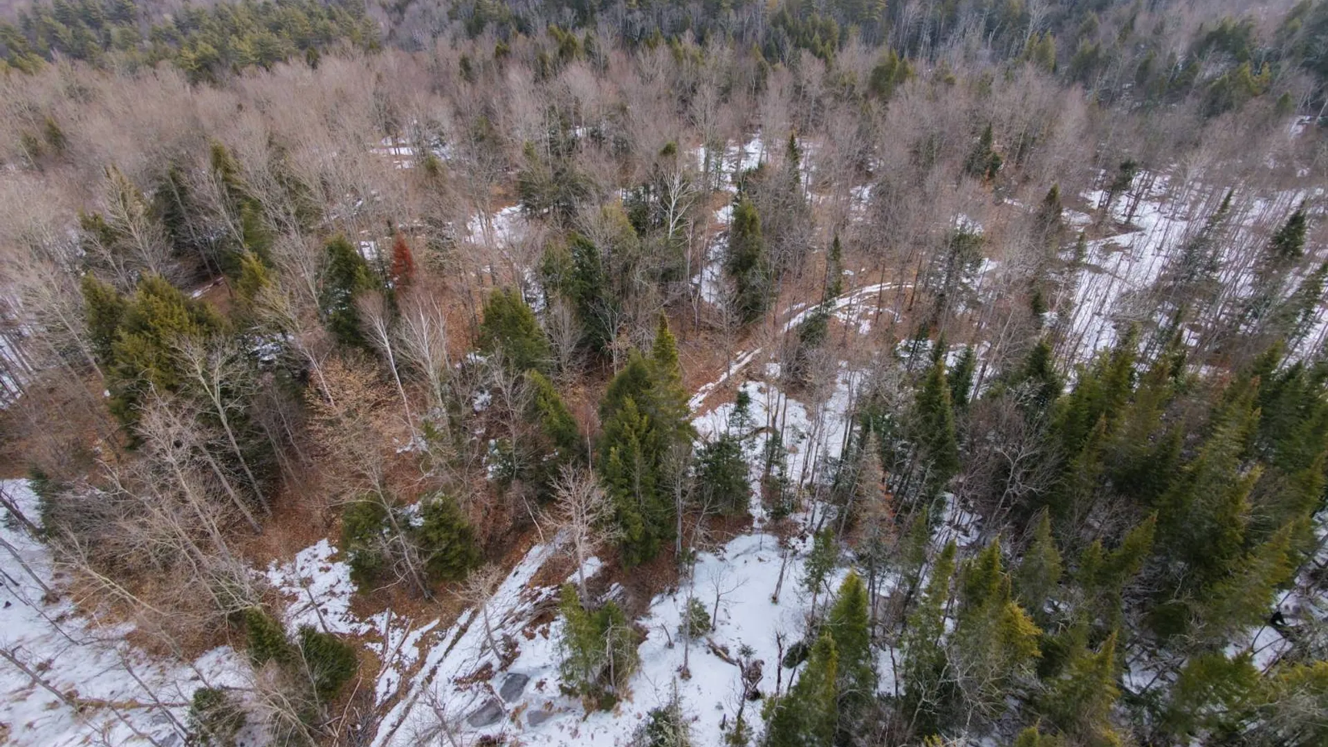 Property at 0 Crane Mountain Road, Johnsburg, NY 12843 6