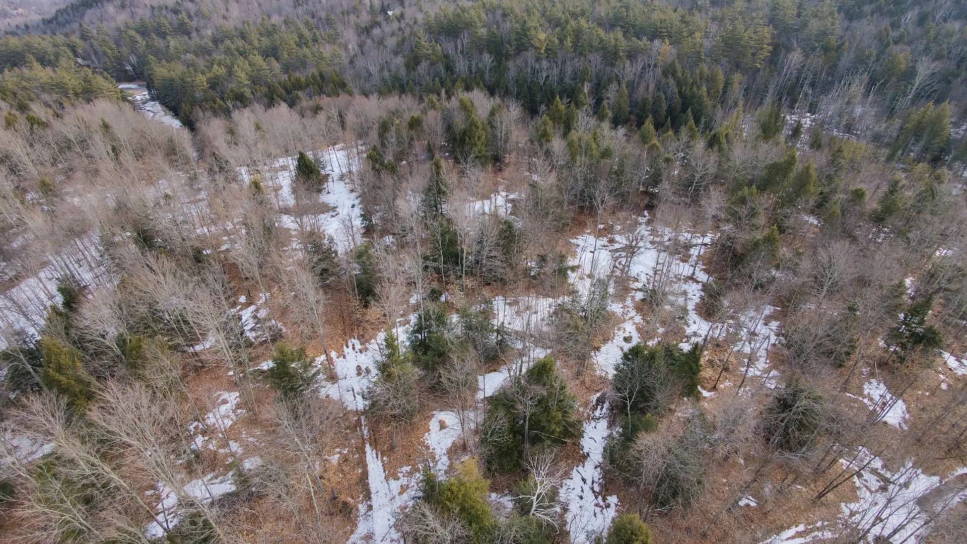 Property at 0 Crane Mountain Road, Johnsburg, NY 12843 7