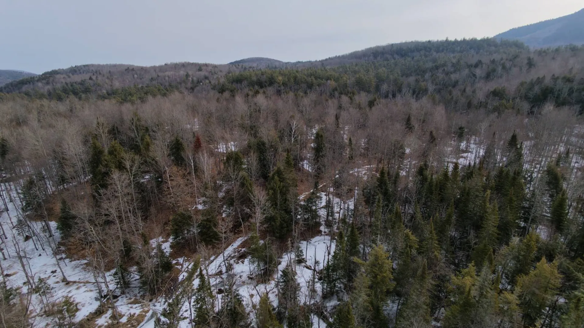 Property at 0 Crane Mountain Road, Johnsburg, NY 12843 8