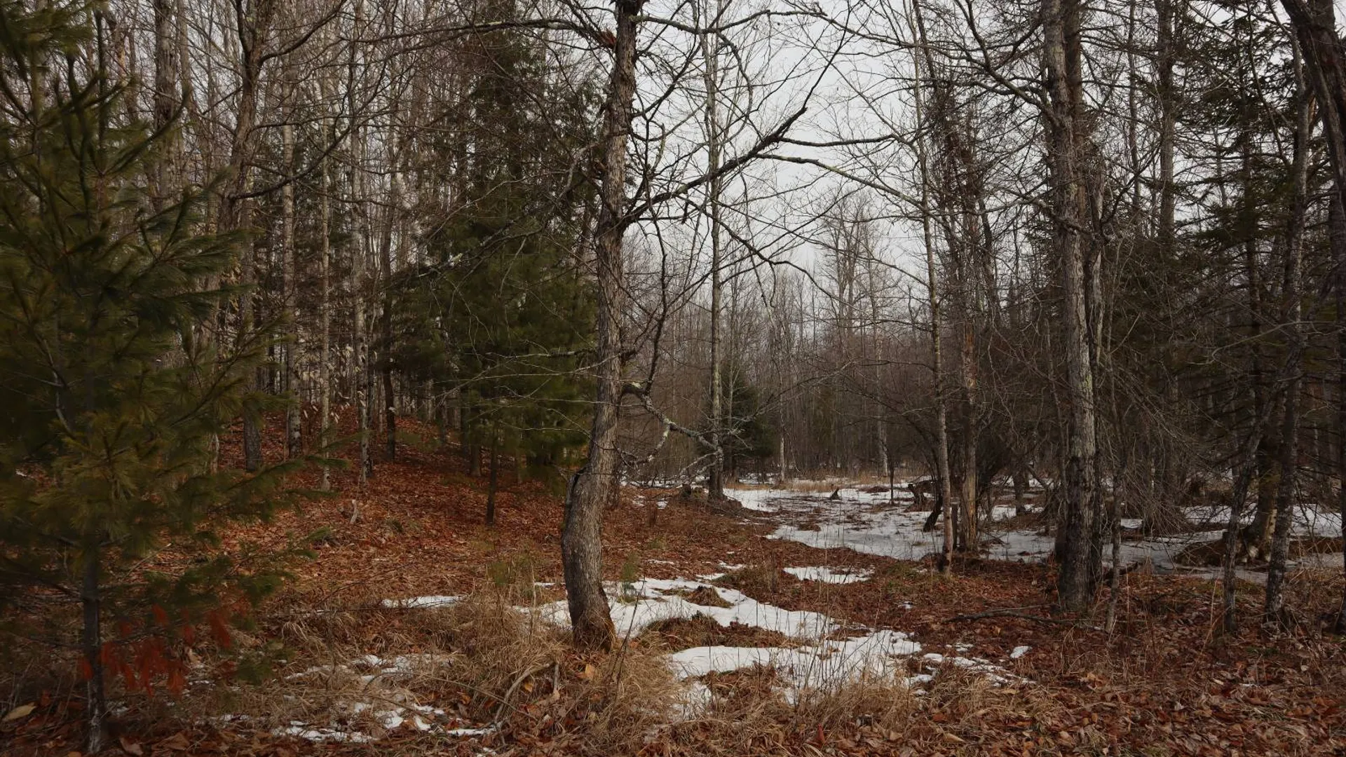 Property at 0 Crane Mountain Road, Johnsburg, NY 12843 9