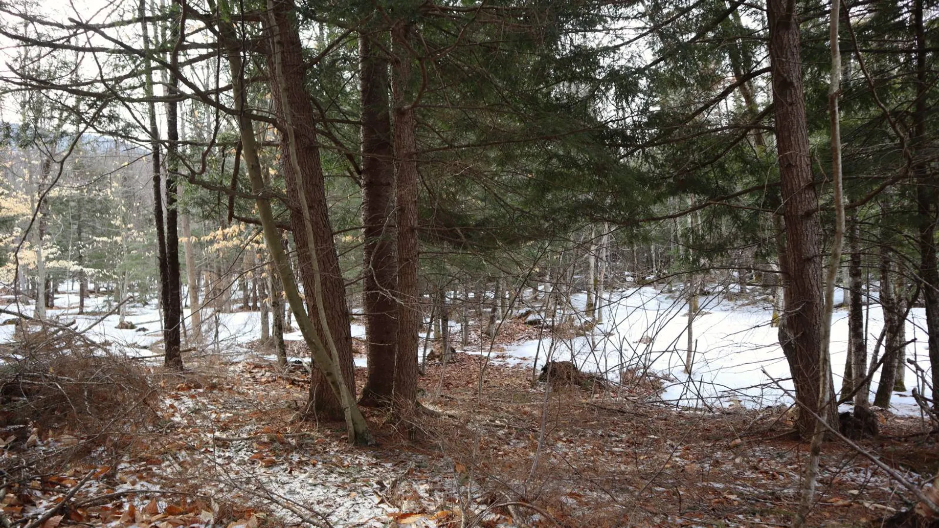 Property at 0 Crane Mountain Road, Johnsburg, NY 12843 10