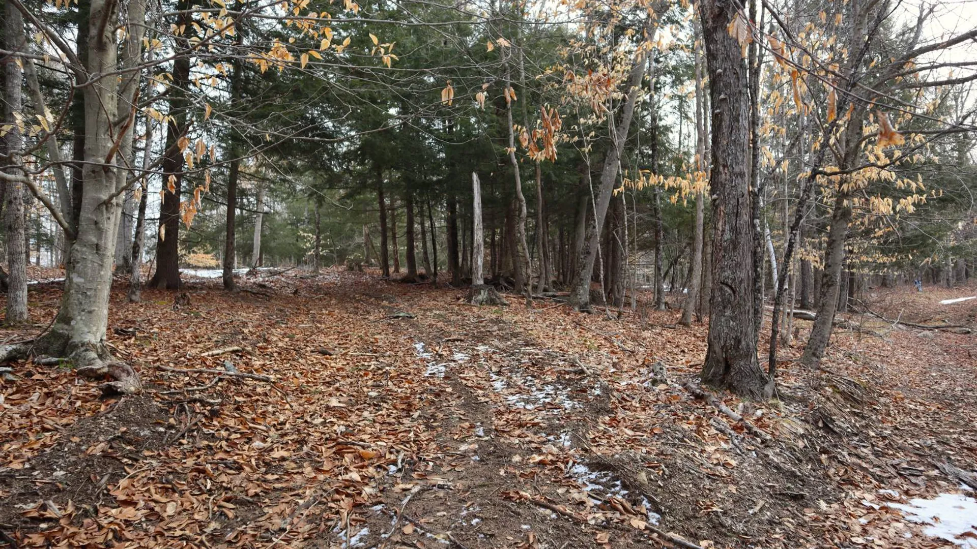 Property at 0 Crane Mountain Road, Johnsburg, NY 12843 11