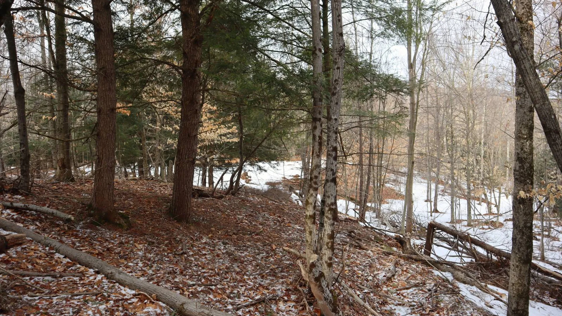Property at 0 Crane Mountain Road, Johnsburg, NY 12843 12