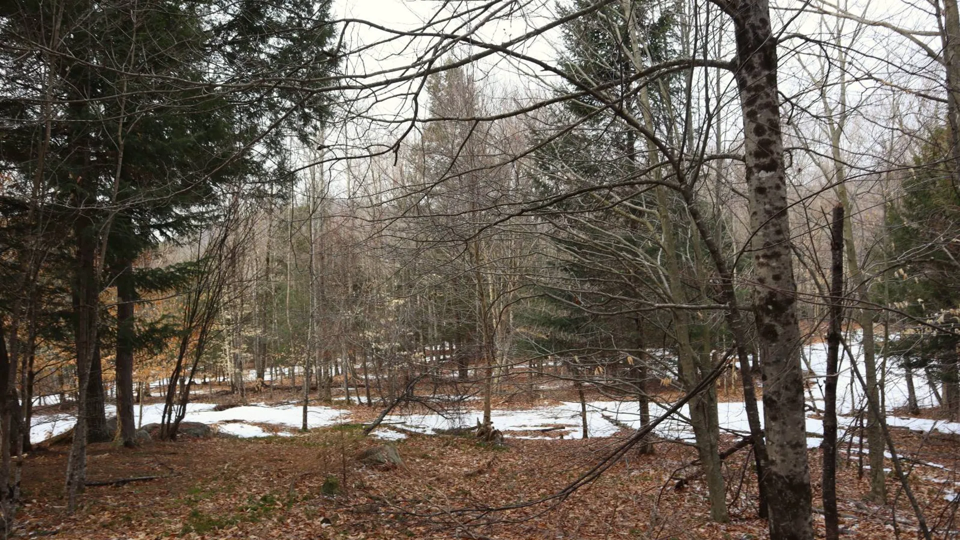 Property at 0 Crane Mountain Road, Johnsburg, NY 12843 13
