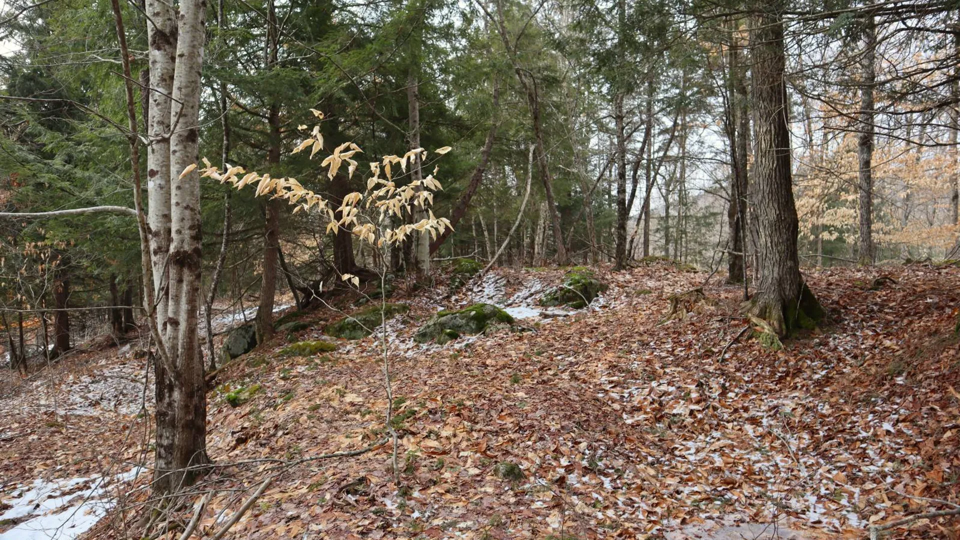 Property at 0 Crane Mountain Road, Johnsburg, NY 12843 14