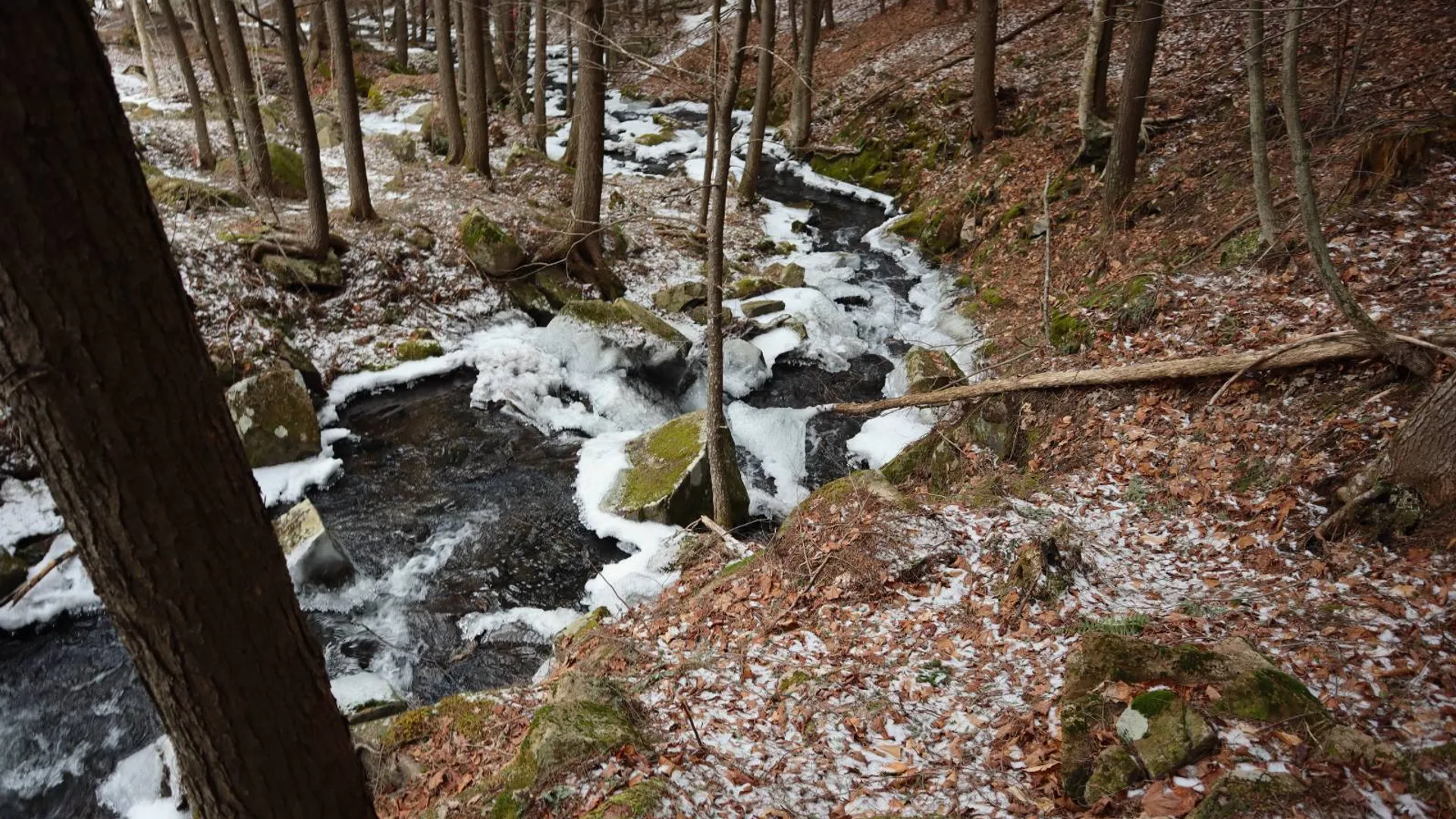 Property at 0 Crane Mountain Road, Johnsburg, NY 12843 17