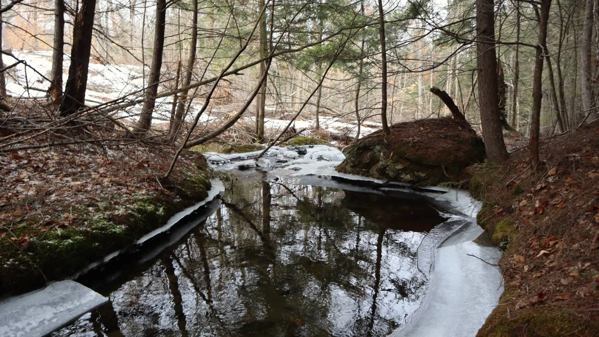 Property at 0 Crane Mountain Road, Johnsburg, NY 12843 20