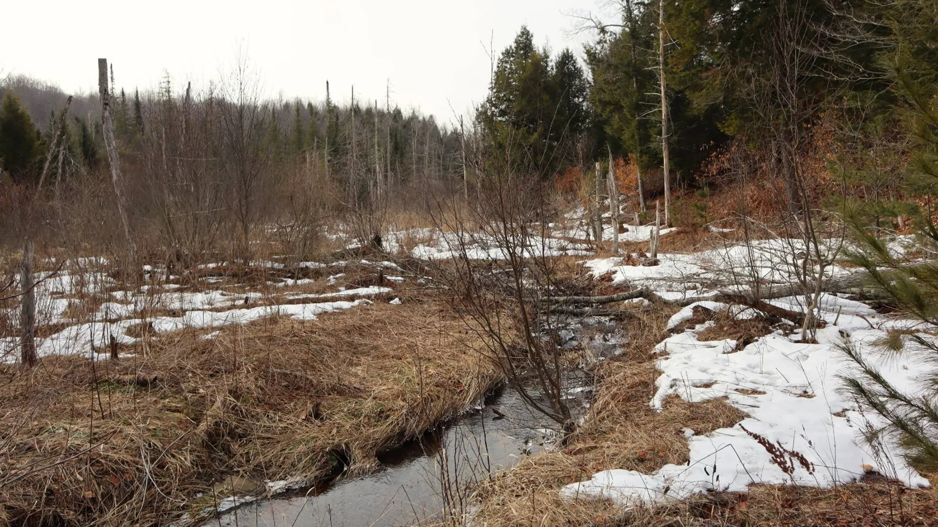 Property at 0 Crane Mountain Road, Johnsburg, NY 12843 22