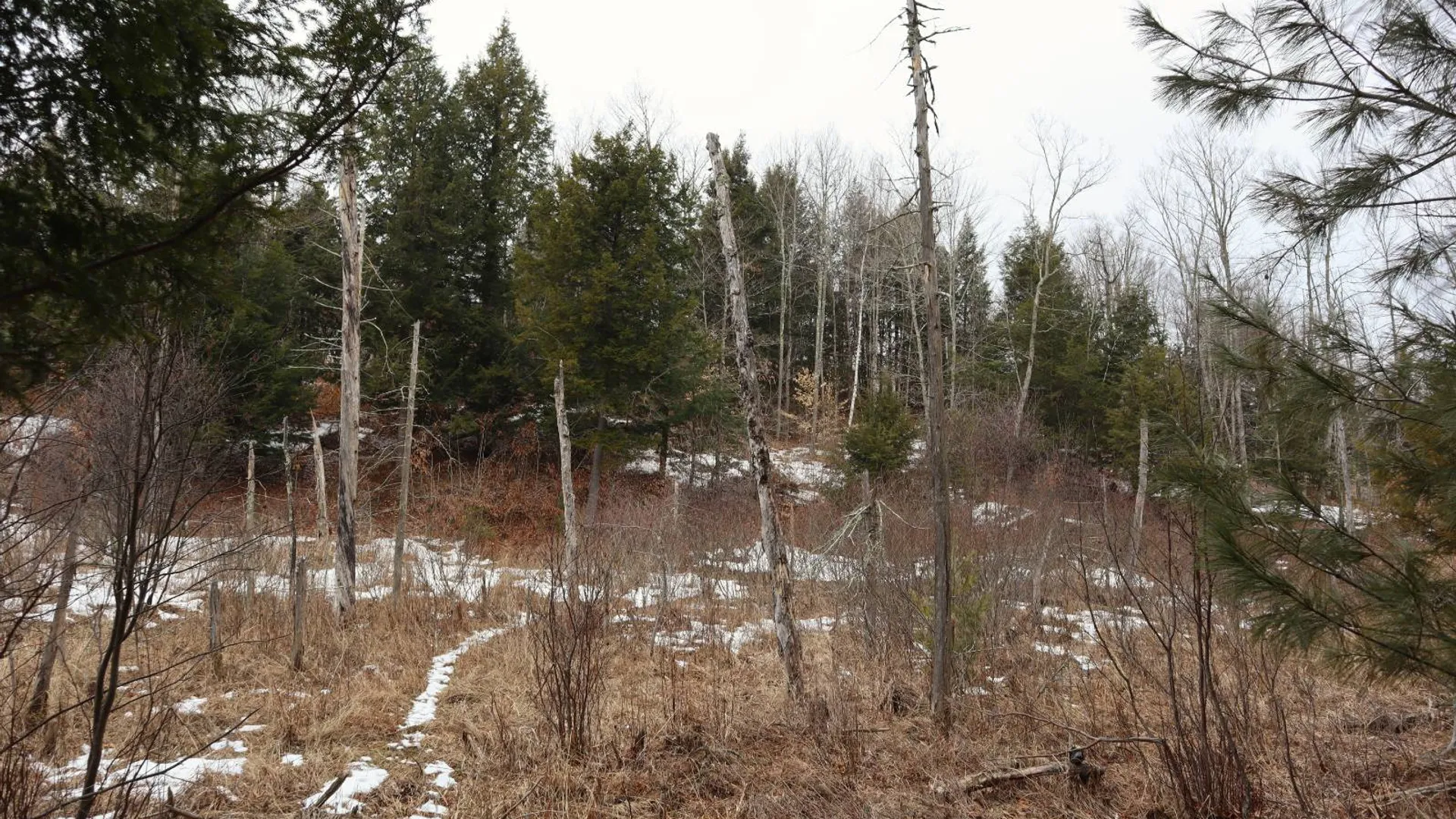 Property at 0 Crane Mountain Road, Johnsburg, NY 12843 24