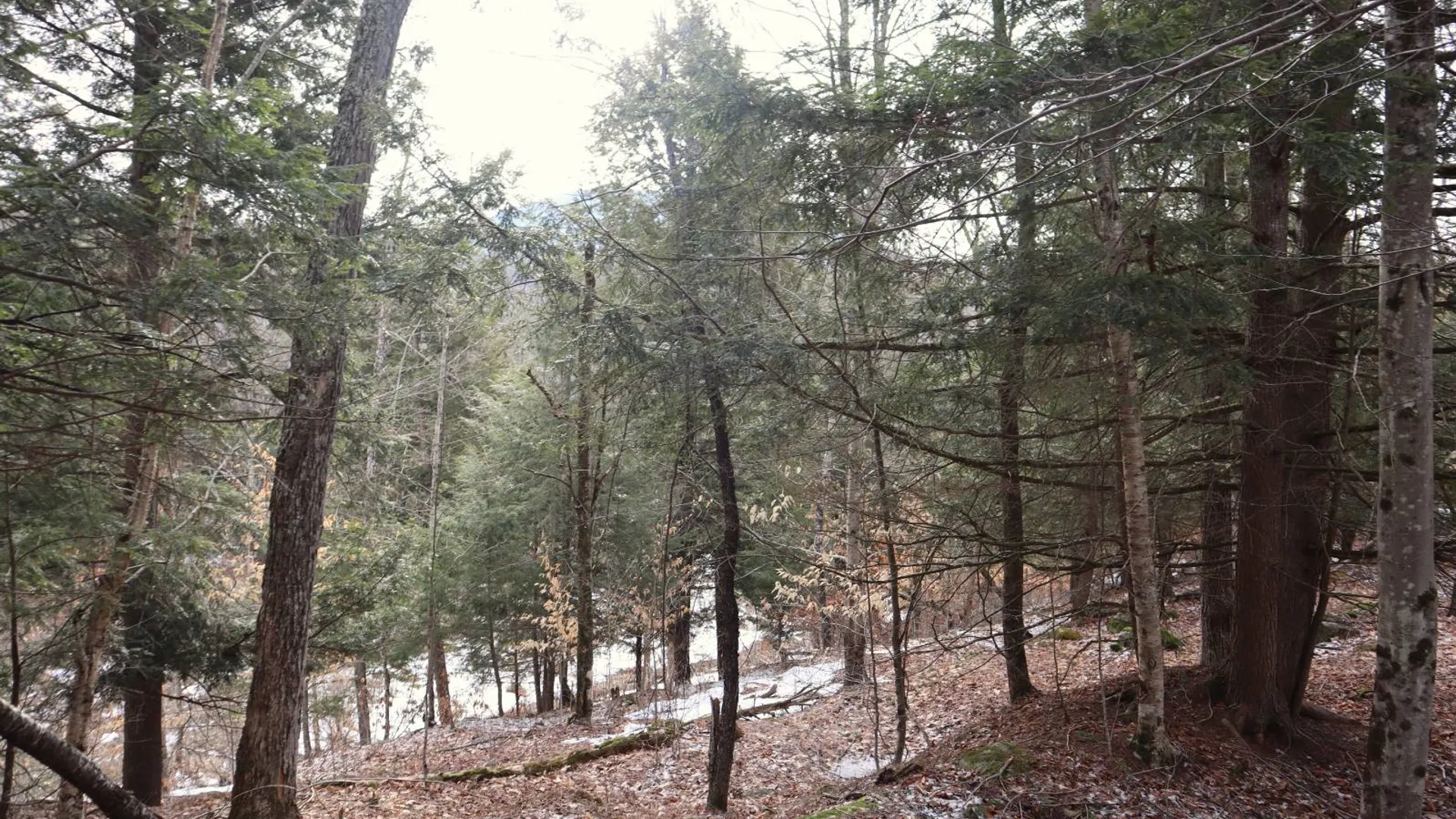 Property at 0 Crane Mountain Road, Johnsburg, NY 12843 25
