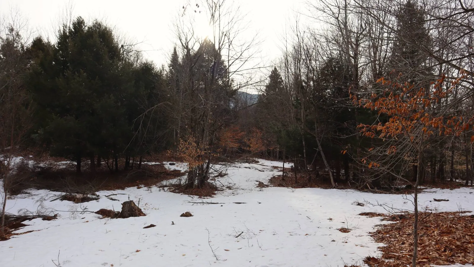 Property at 0 Crane Mountain Road, Johnsburg, NY 12843 26
