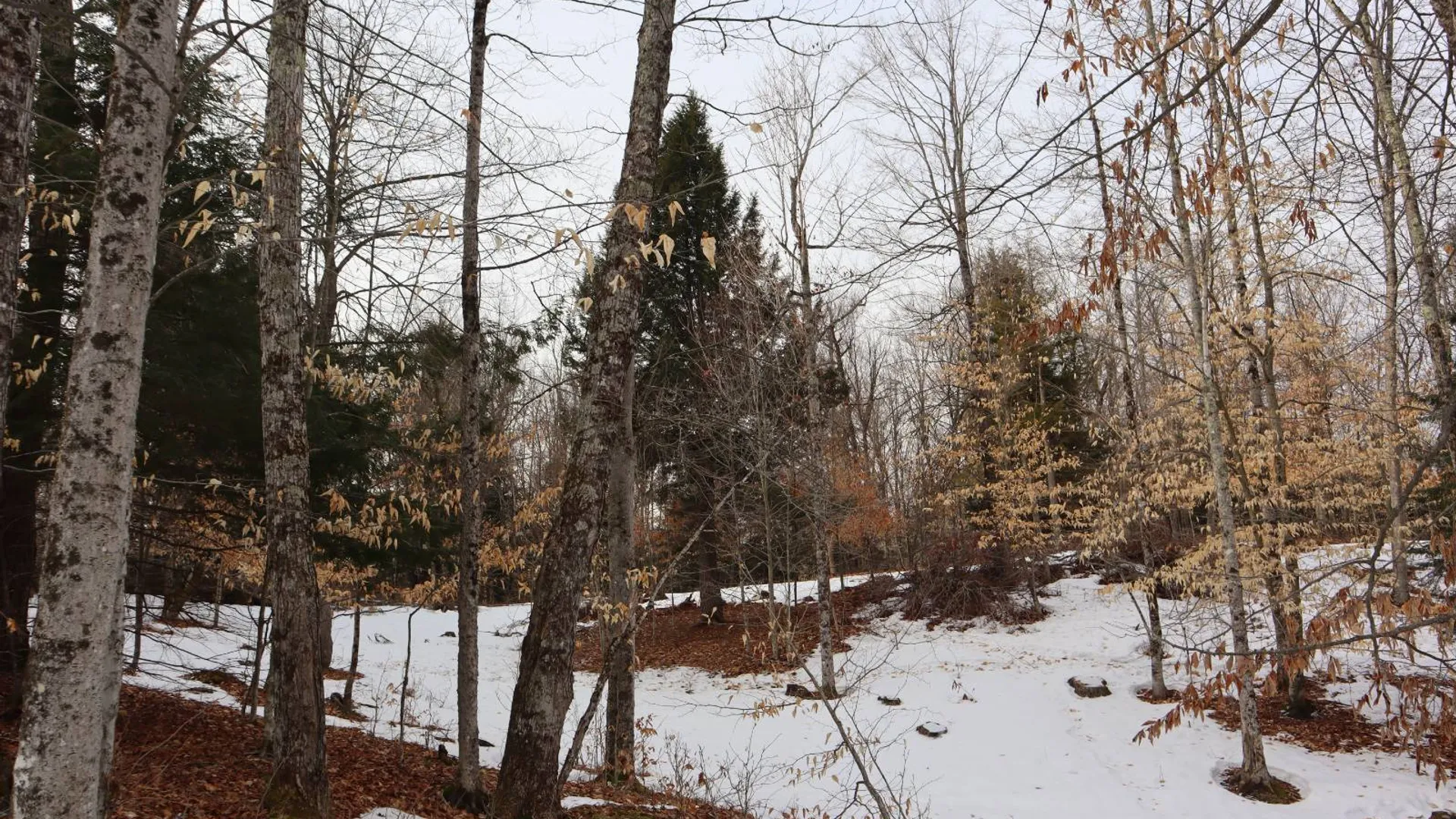 Property at 0 Crane Mountain Road, Johnsburg, NY 12843 27
