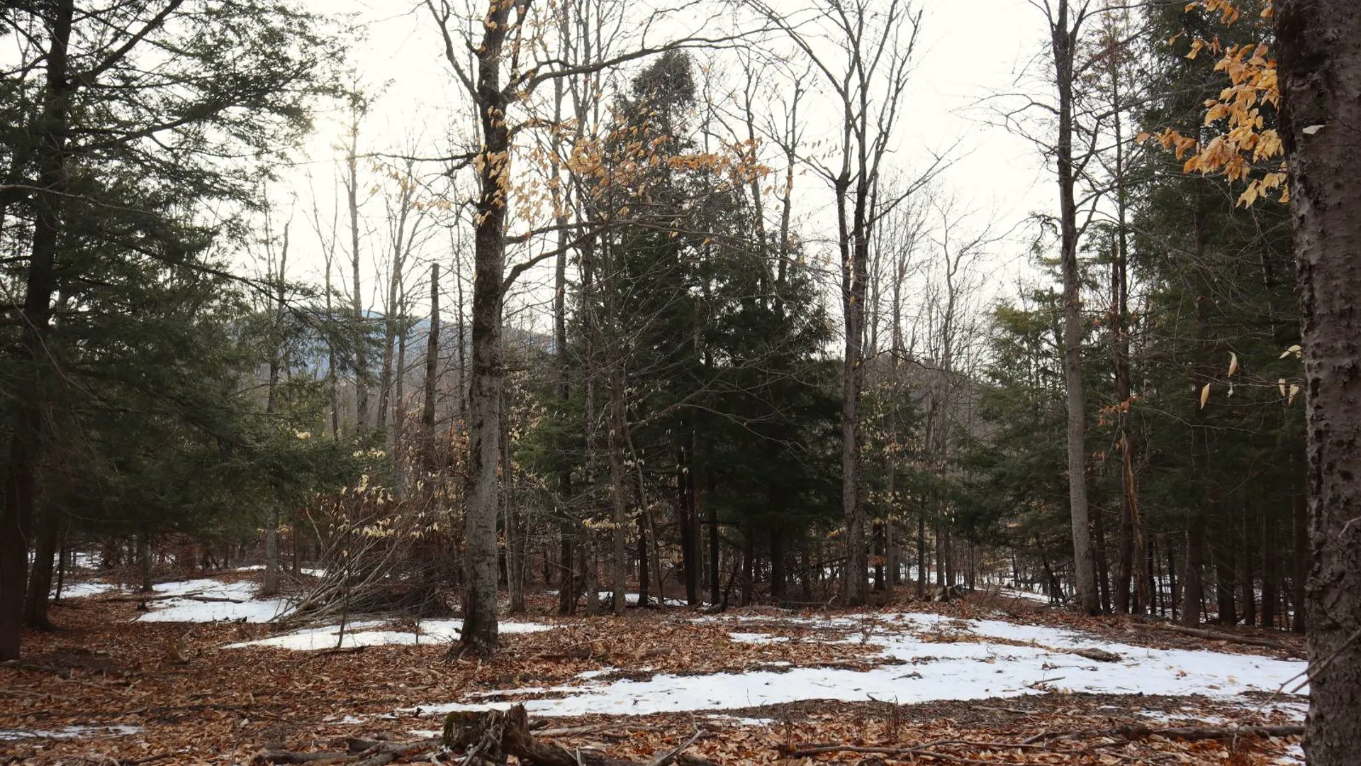 Property at 0 Crane Mountain Road, Johnsburg, NY 12843 29