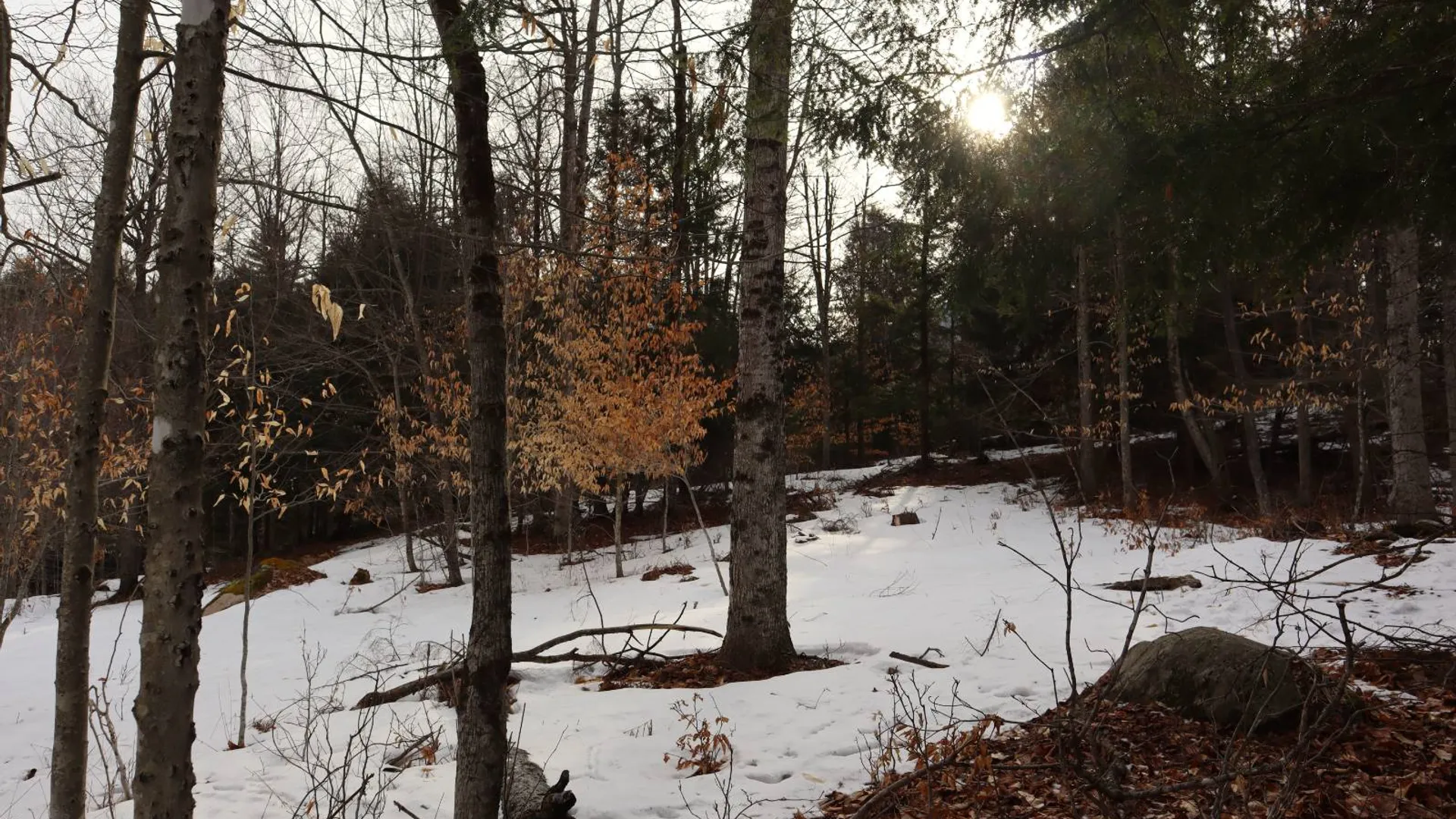 Property at 0 Crane Mountain Road, Johnsburg, NY 12843 31