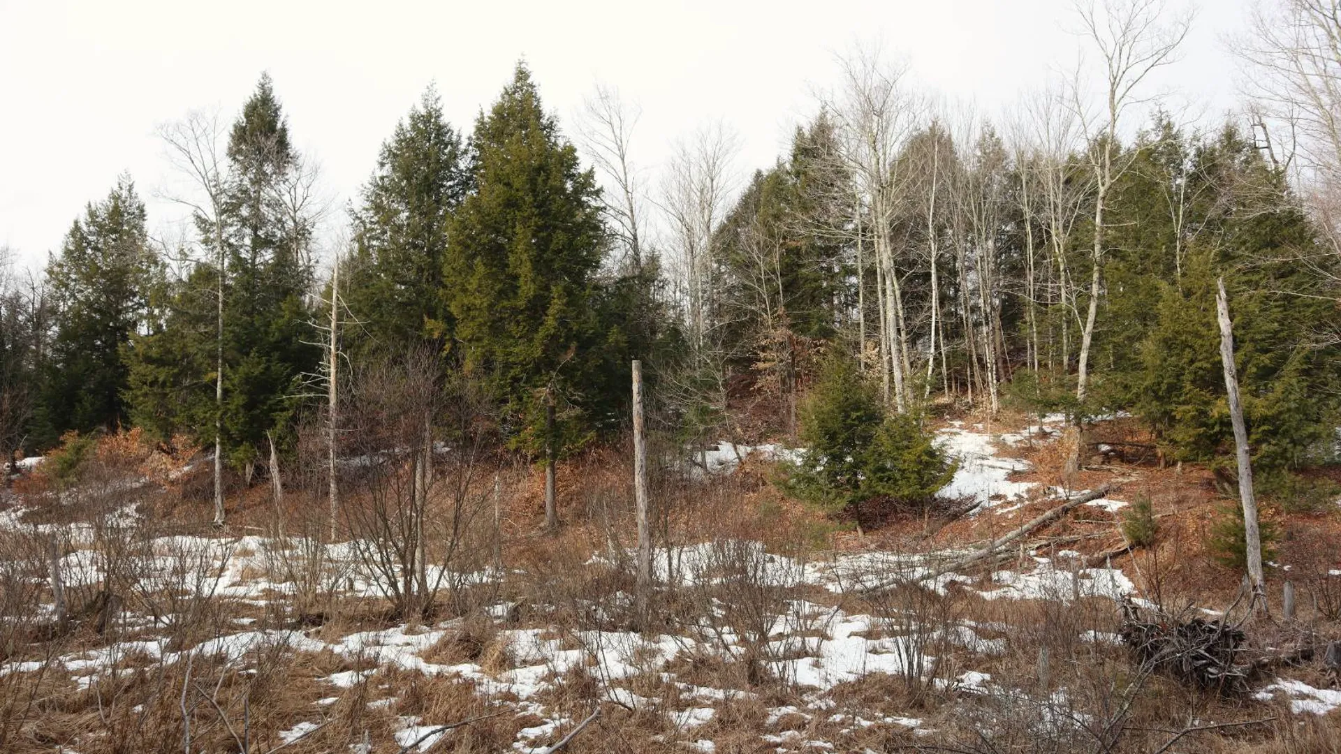 Property at 0 Crane Mountain Road, Johnsburg, NY 12843 32