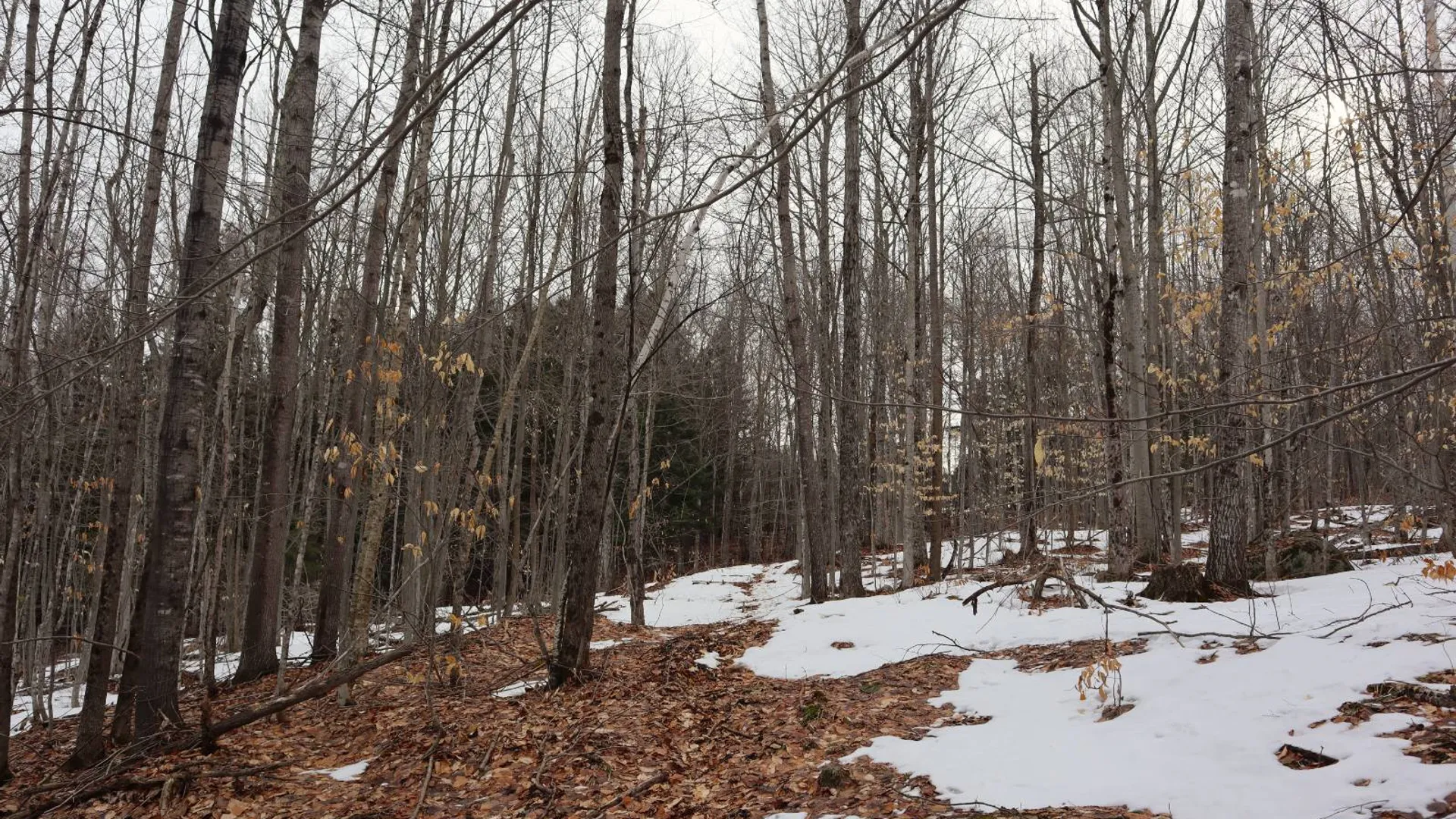 Property at 0 Crane Mountain Road, Johnsburg, NY 12843 40