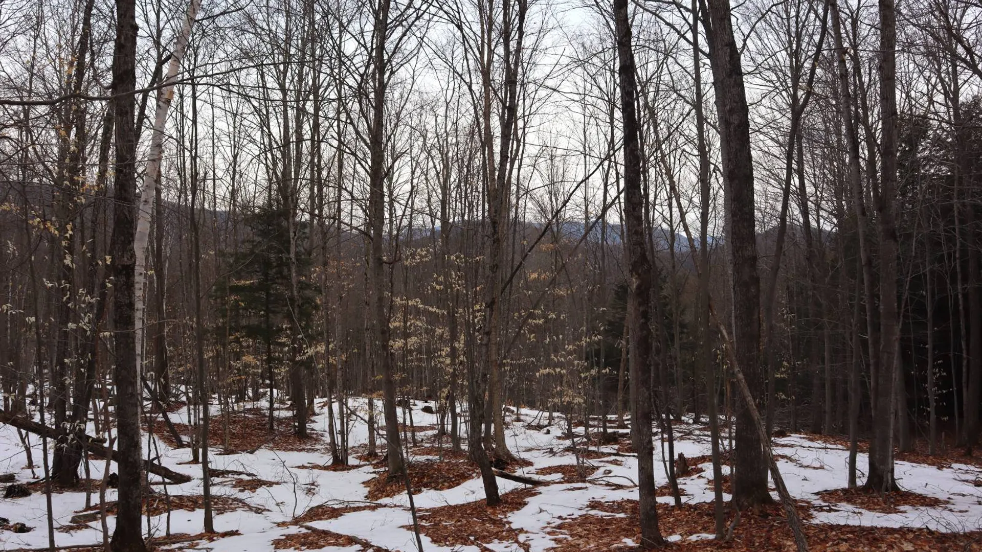 Property at 0 Crane Mountain Road, Johnsburg, NY 12843 41
