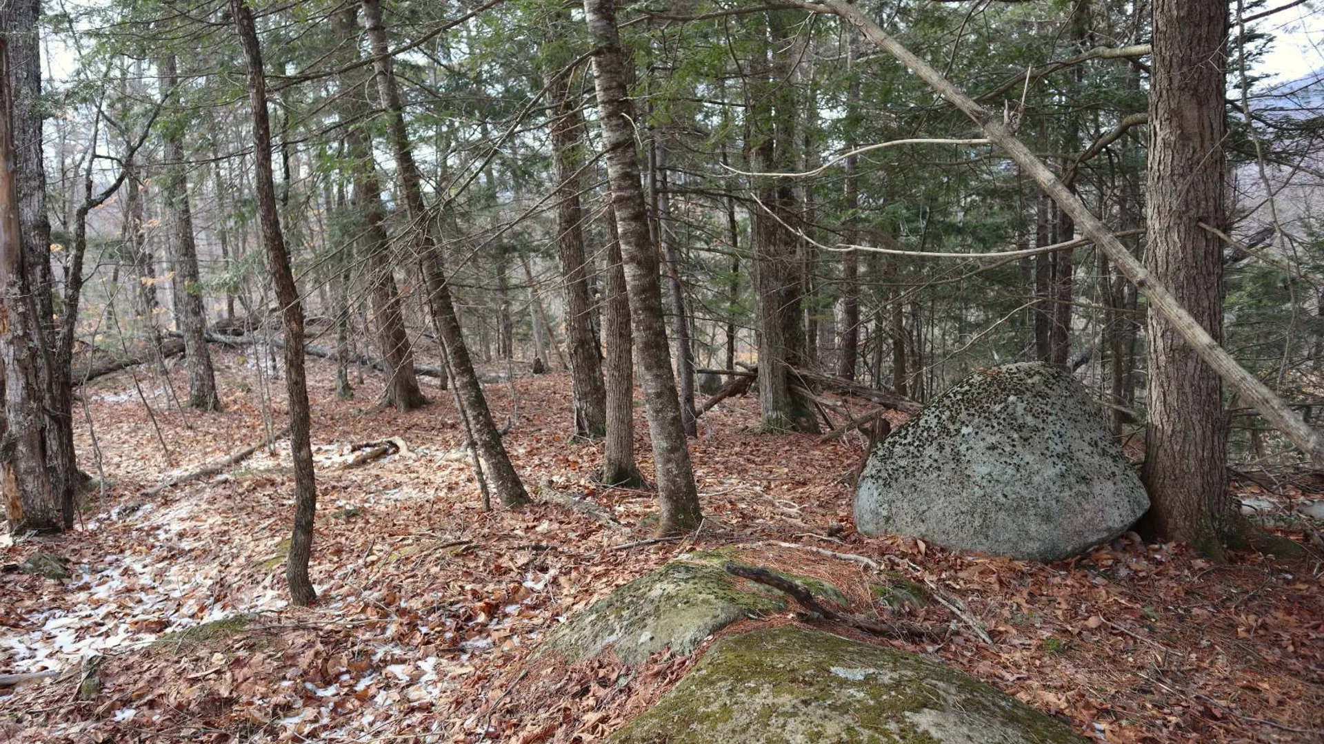 Property at 0 Crane Mountain Road, Johnsburg, NY 12843 45