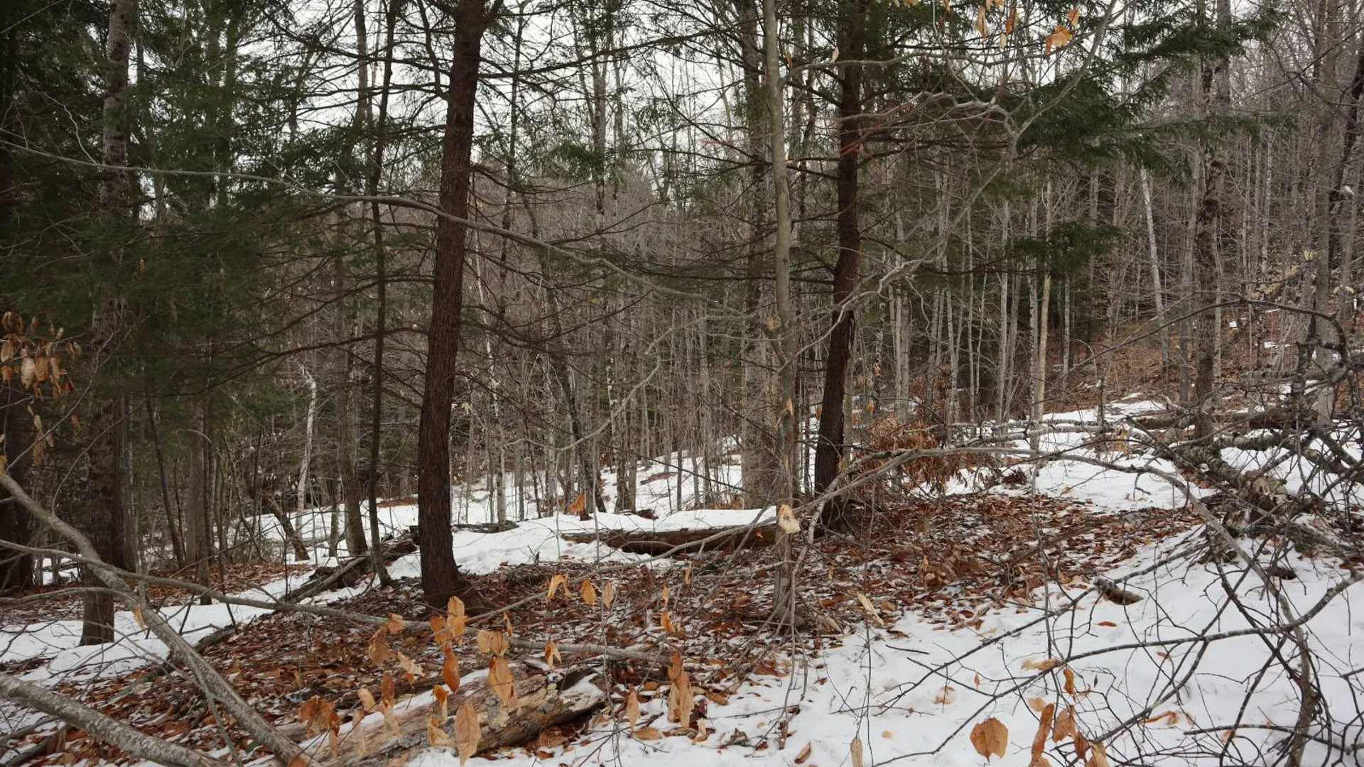 Property at 0 Crane Mountain Road, Johnsburg, NY 12843 47