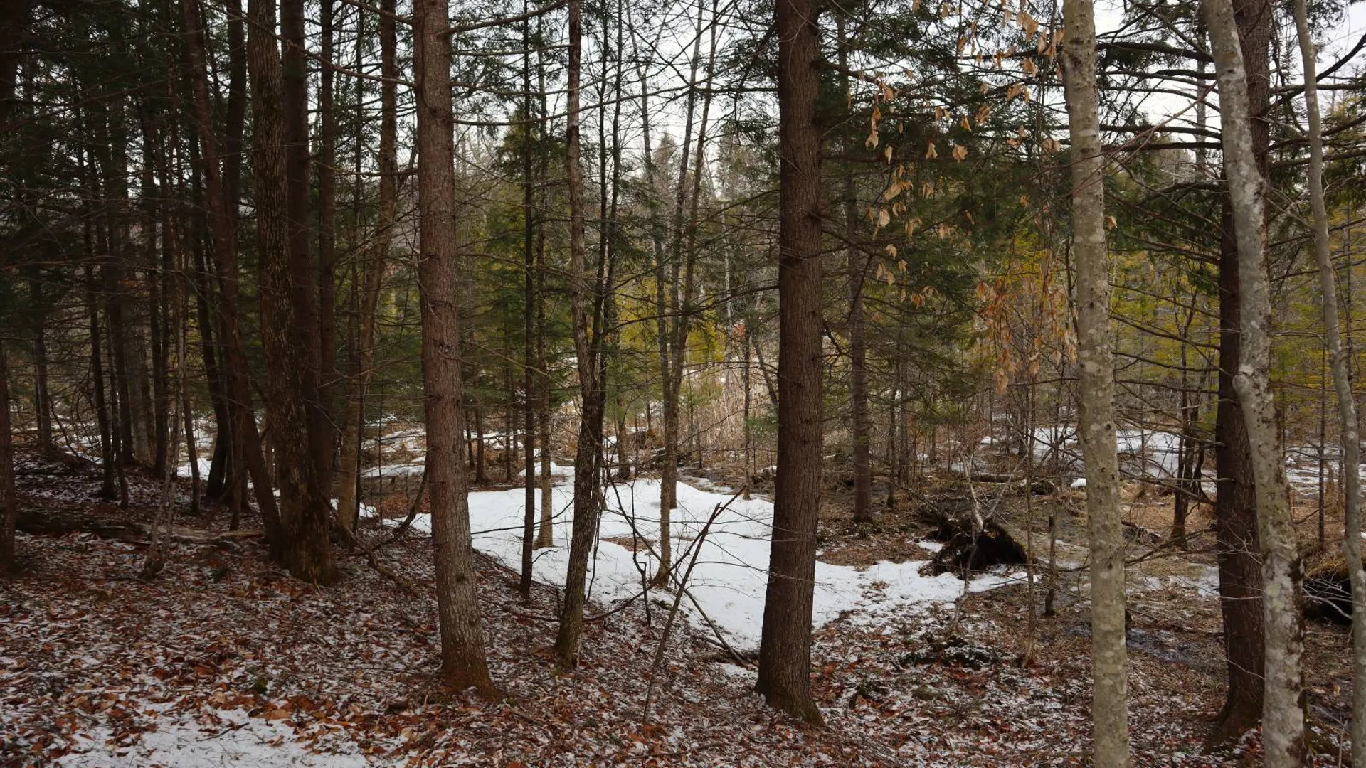 Property at 0 Crane Mountain Road, Johnsburg, NY 12843 48