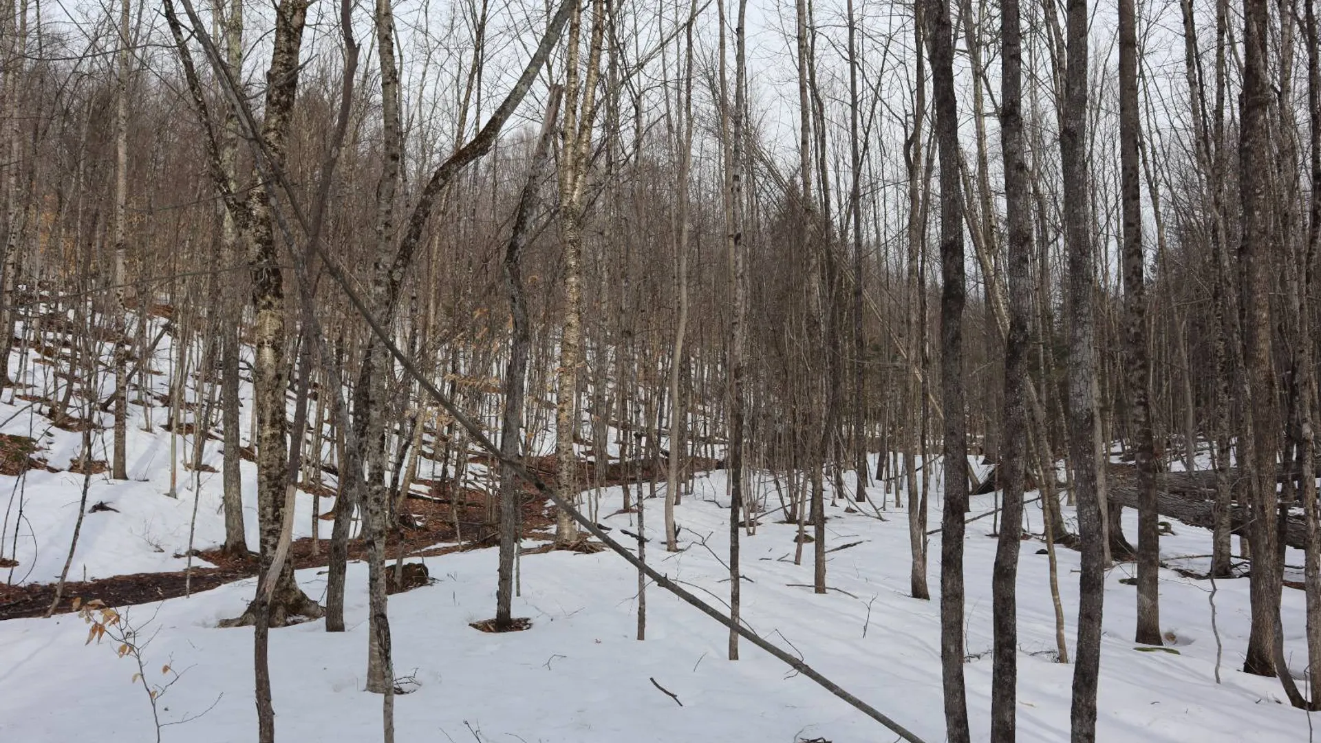 Property at 0 Crane Mountain Road, Johnsburg, NY 12843 49