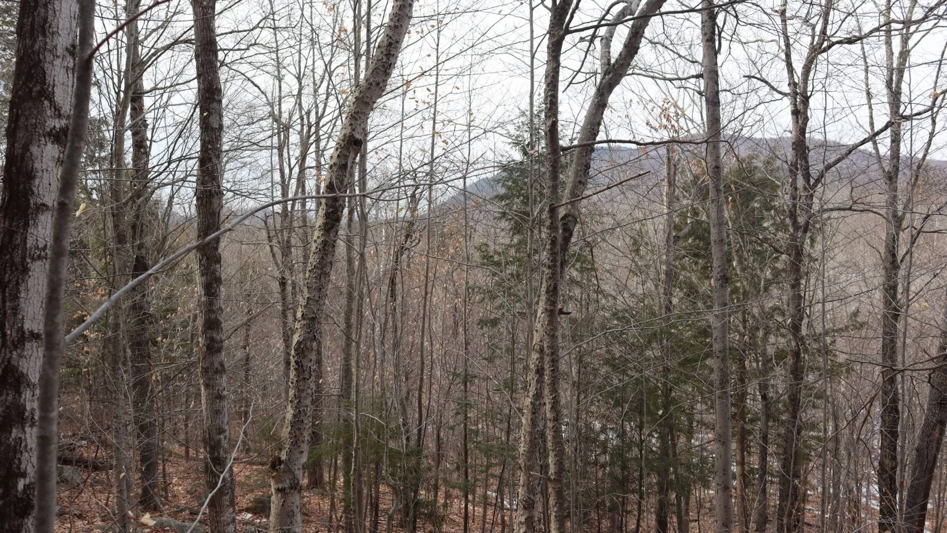 Property at 0 Crane Mountain Road, Johnsburg, NY 12843 52