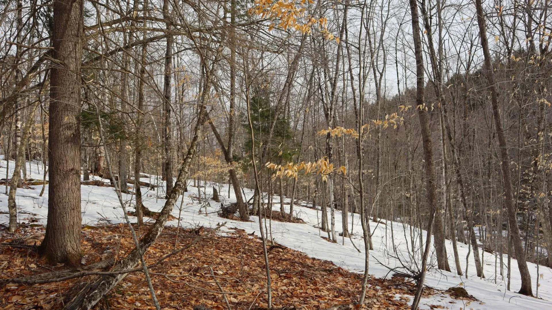 Property at 0 Crane Mountain Road, Johnsburg, NY 12843 55