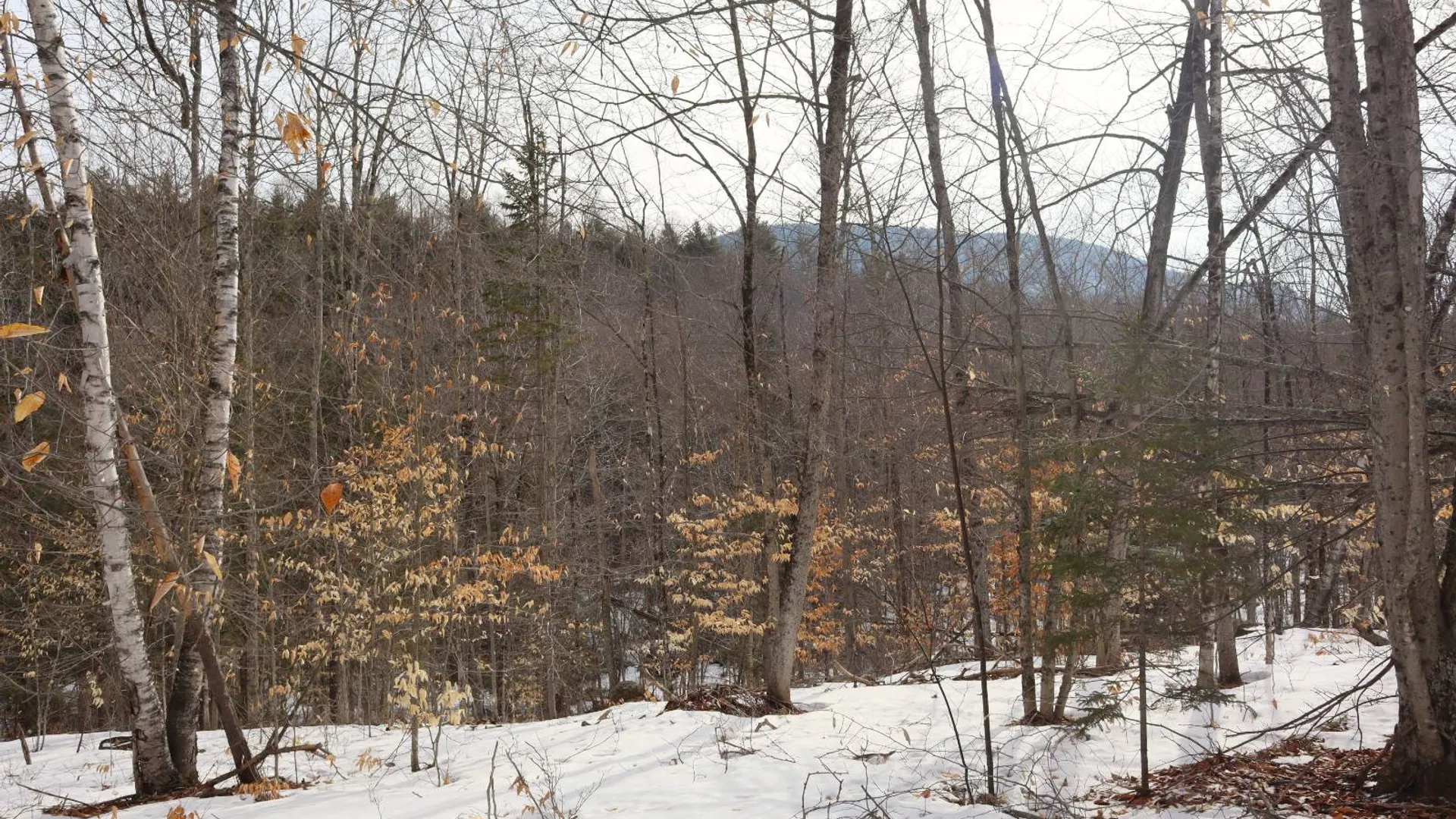 Property at 0 Crane Mountain Road, Johnsburg, NY 12843 57