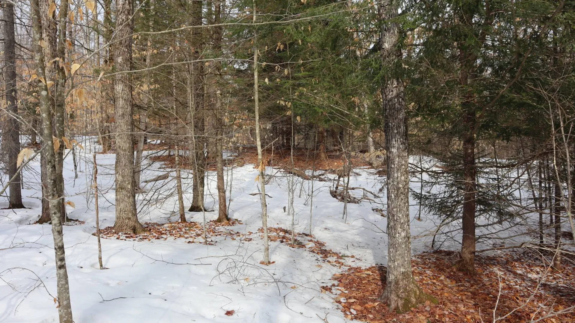 Property at 0 Crane Mountain Road, Johnsburg, NY 12843 58