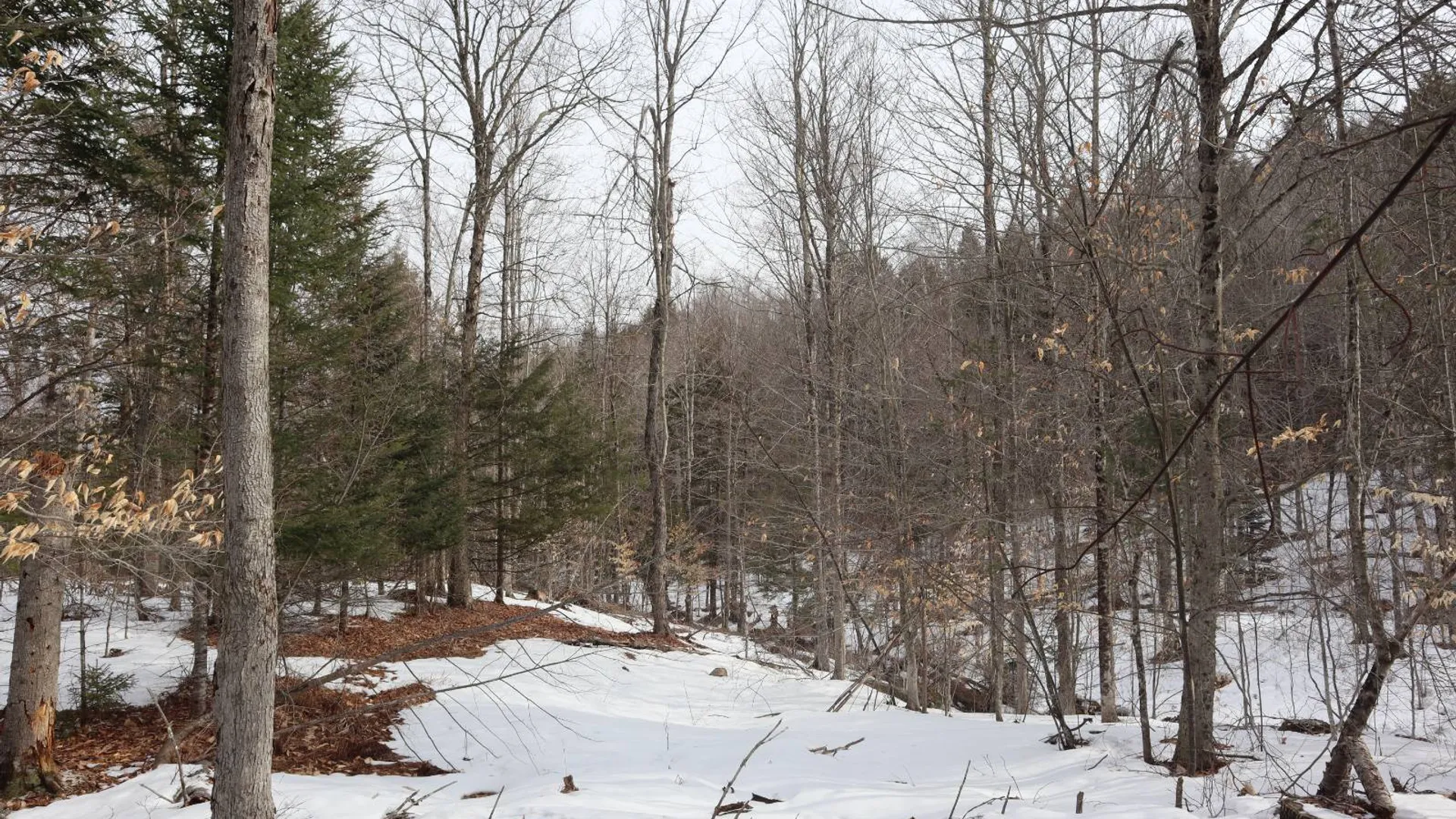 Property at 0 Crane Mountain Road, Johnsburg, NY 12843 59