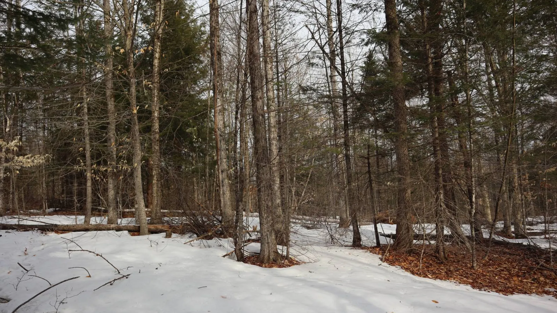 Property at 0 Crane Mountain Road, Johnsburg, NY 12843 60