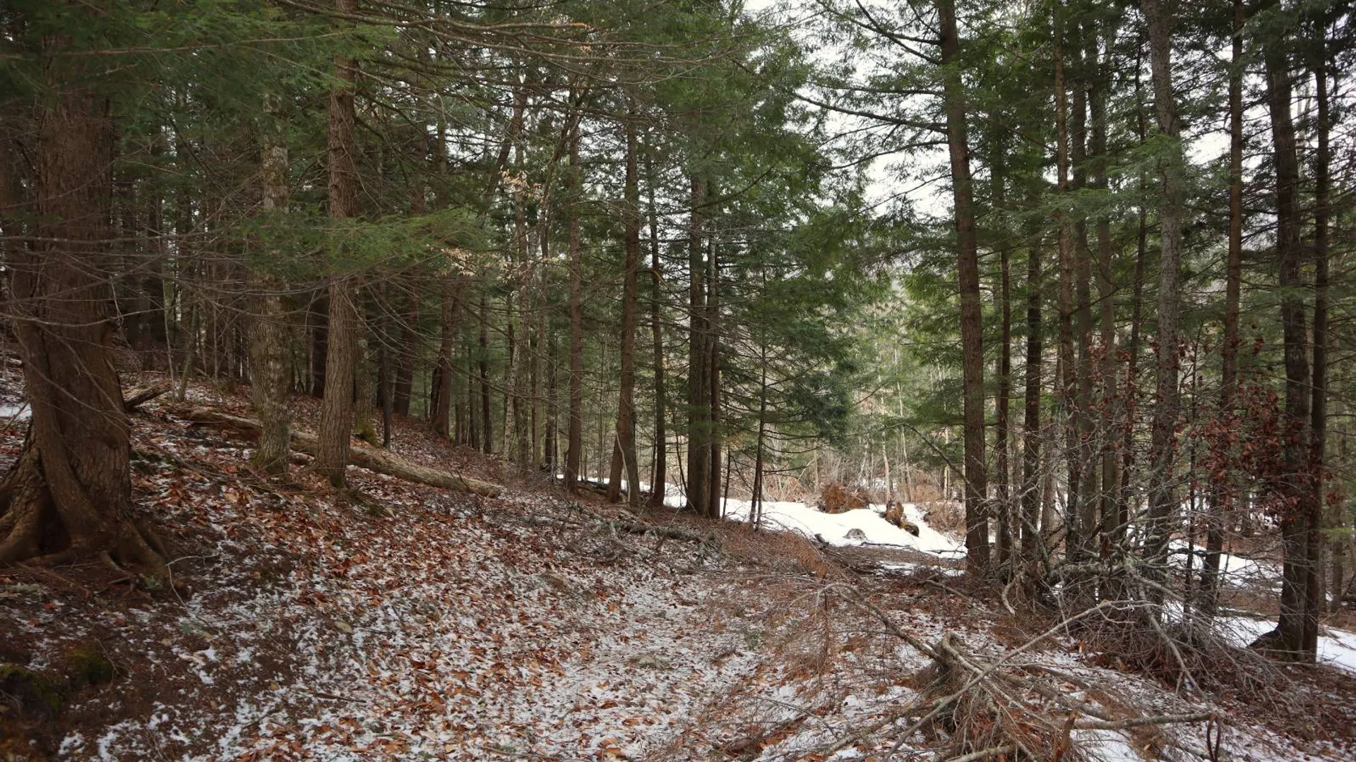 Property at 0 Crane Mountain Road, Johnsburg, NY 12843 62
