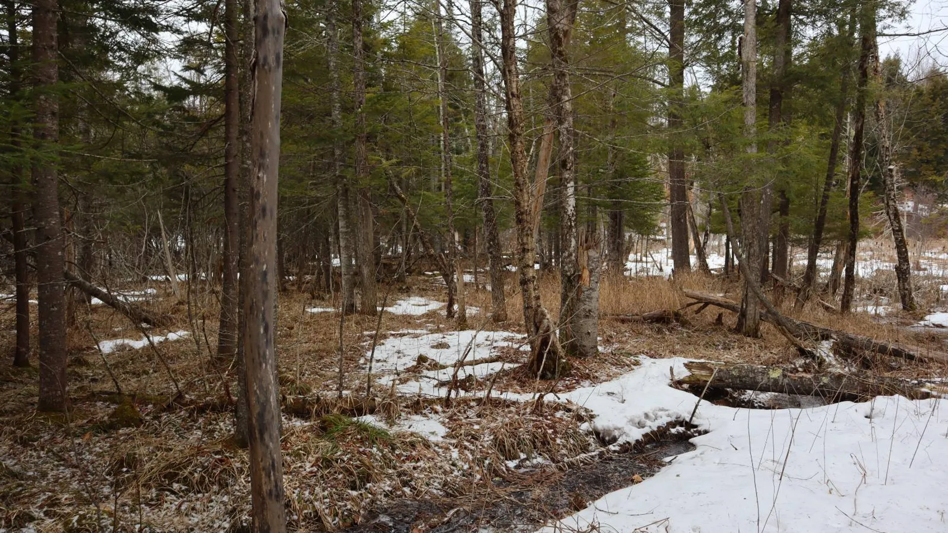 Property at 0 Crane Mountain Road, Johnsburg, NY 12843 63