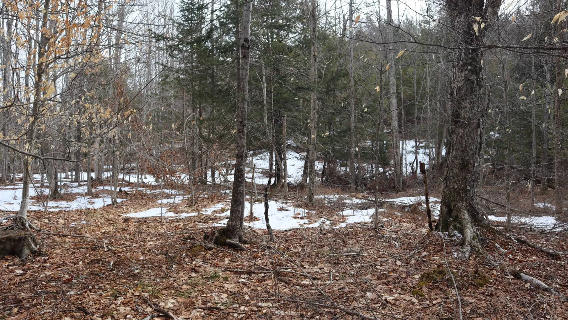 Property at 0 Crane Mountain Road, Johnsburg, NY 12843 66