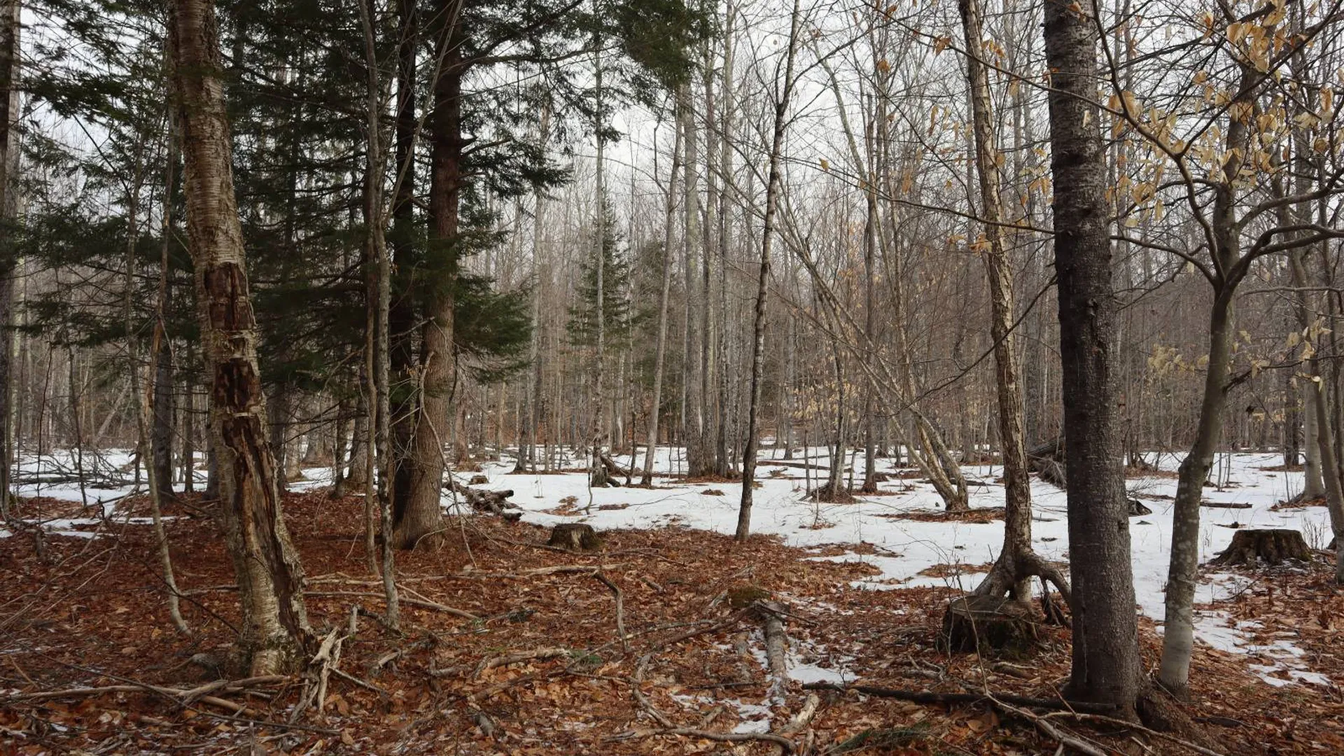 Property at 0 Crane Mountain Road, Johnsburg, NY 12843 67
