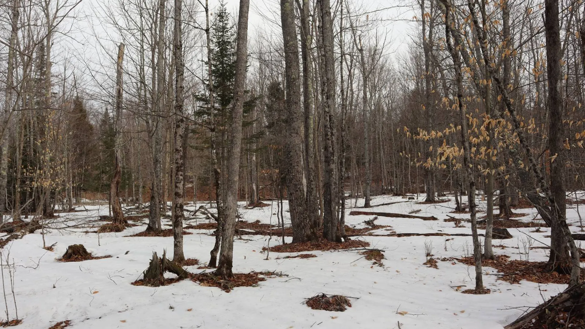 Property at 0 Crane Mountain Road, Johnsburg, NY 12843 69